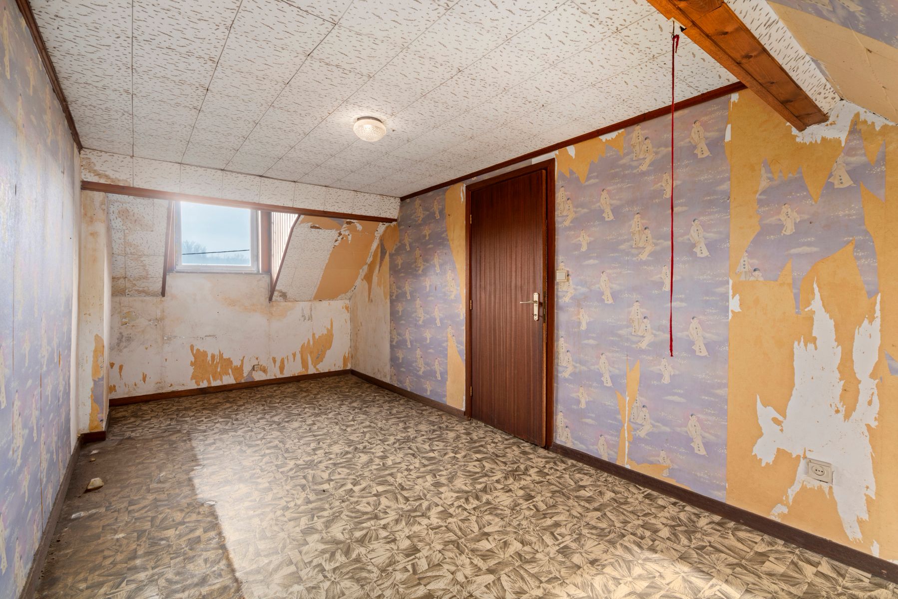 Ruime woning met een perceeloppervlakte van 2.142 m²! foto 10