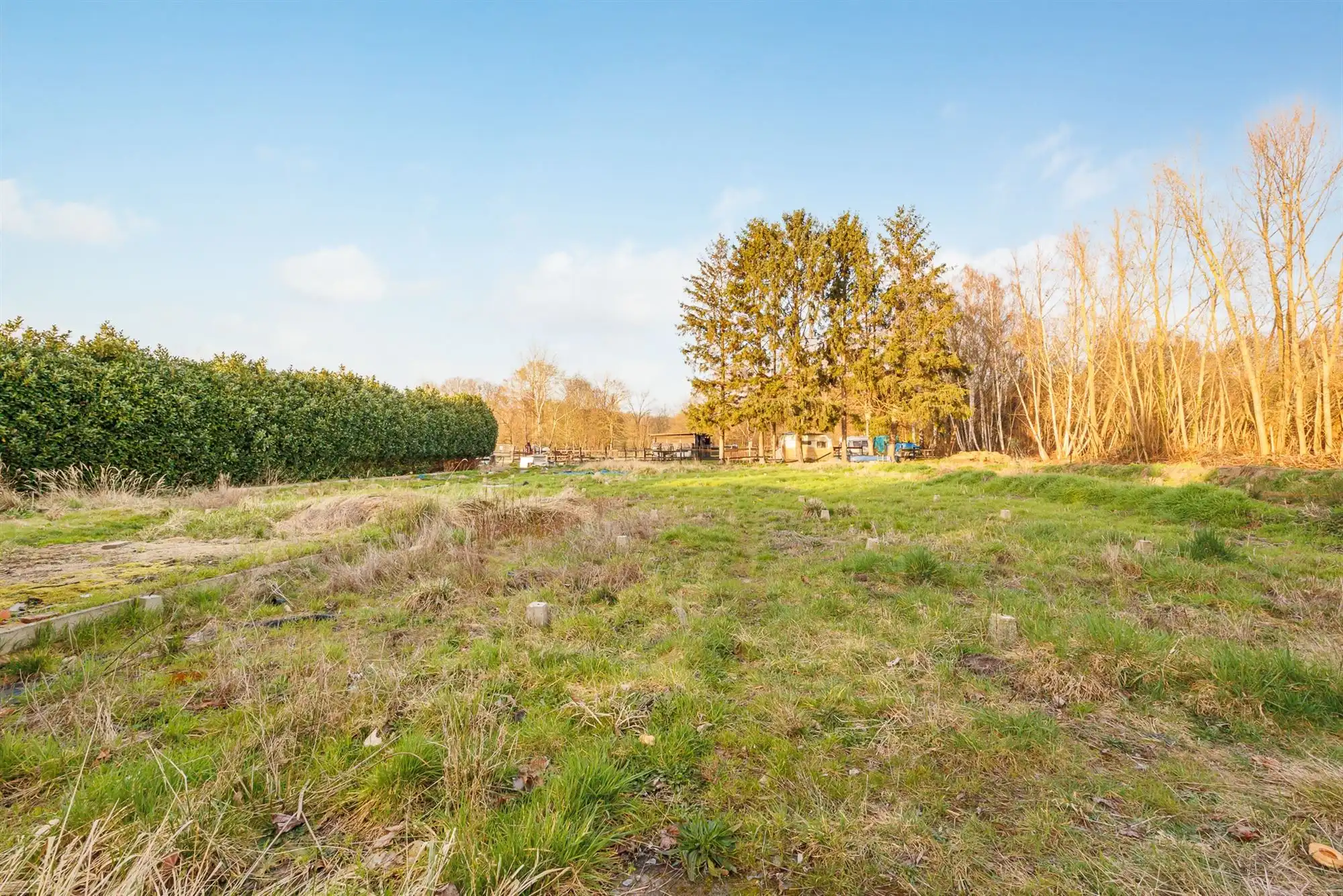 Te renoveren woning op perceel van 1506m² op TOPlocatie foto 23