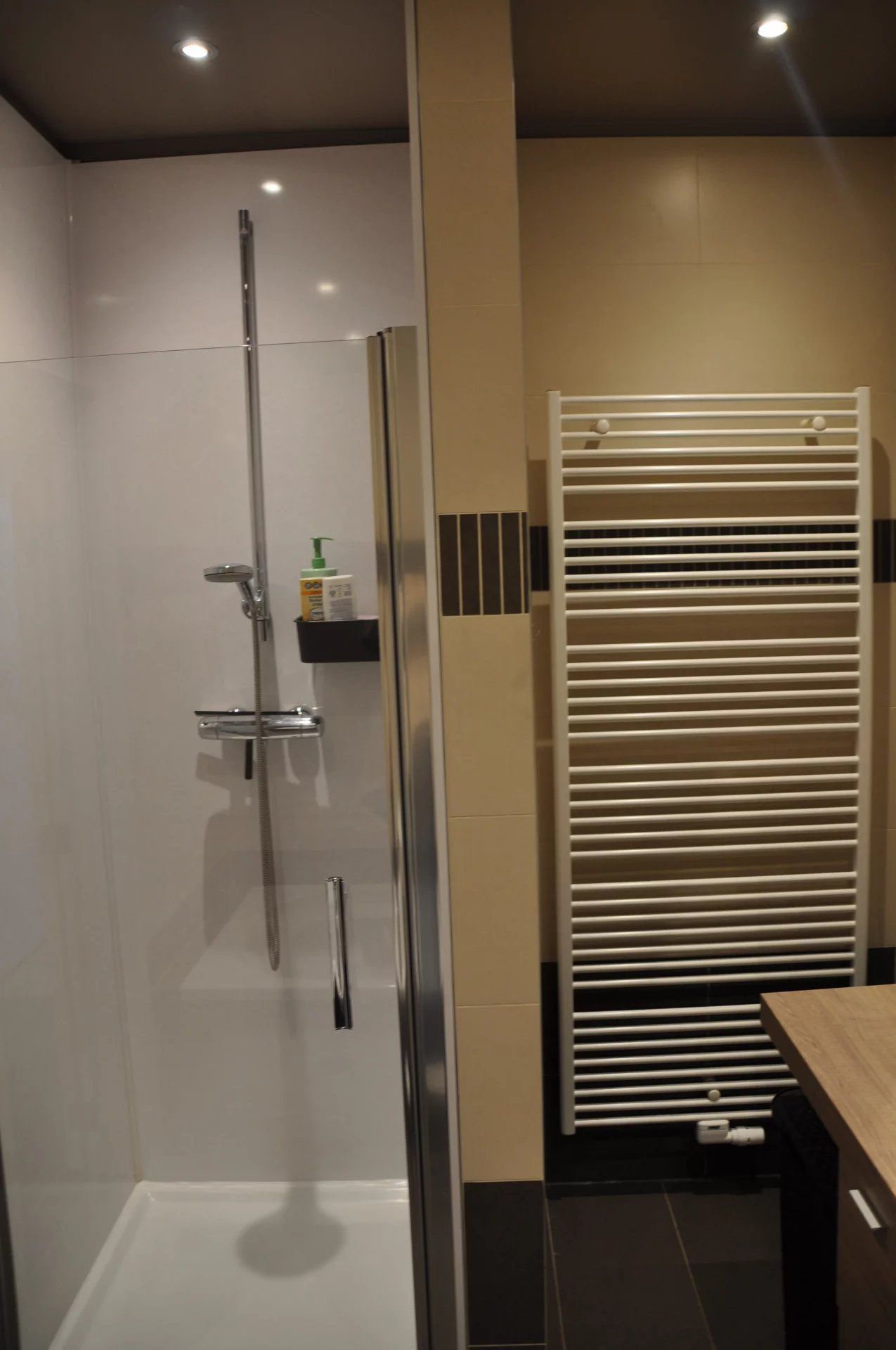 CENTRAAL GELEGEN LICHTRIJK APPARTEMENT VAN 104m² MET 2 SLPK'S foto 16