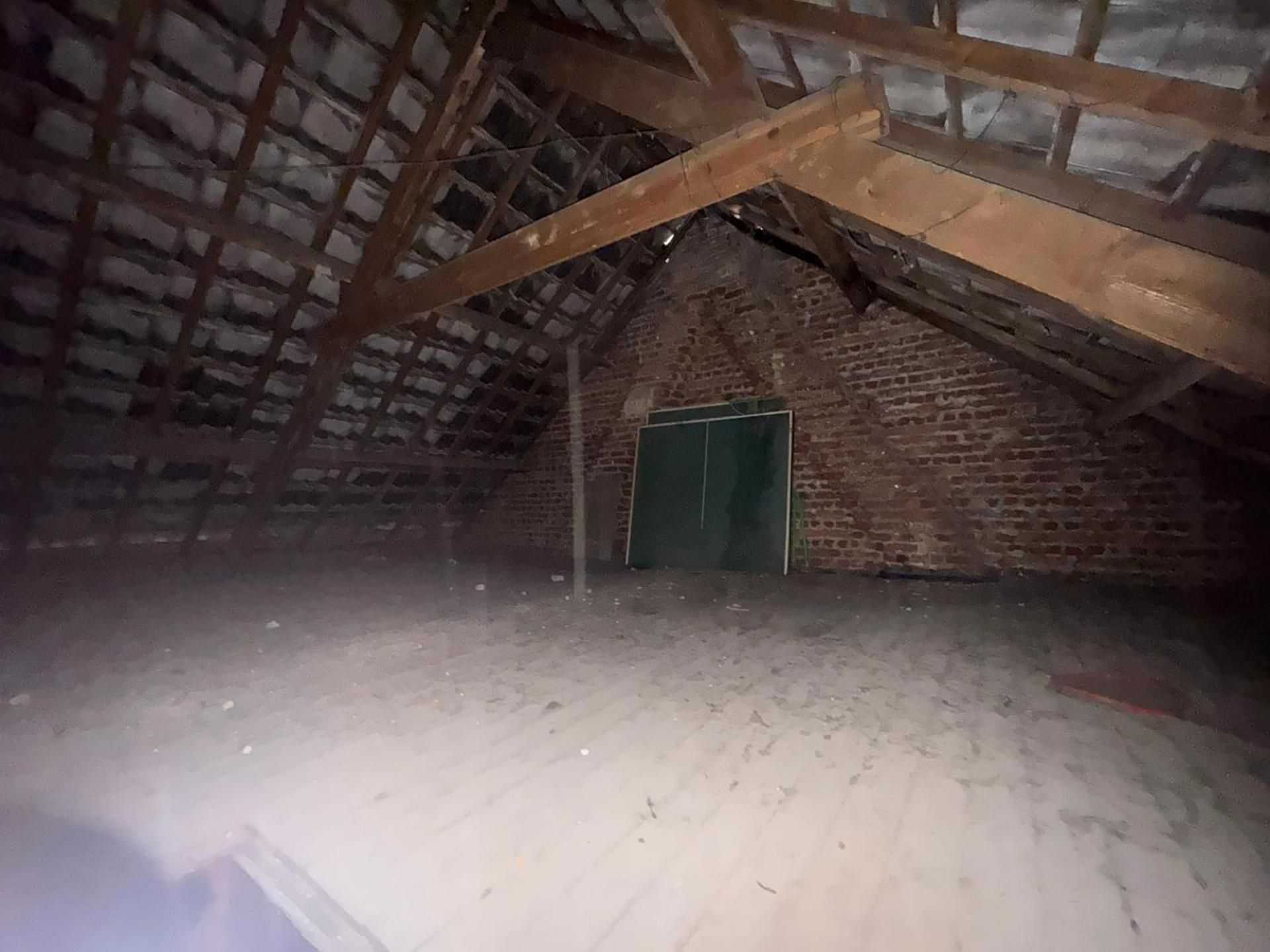 Veelzijdige site met twee panden en tal van mogelijkheden foto 16