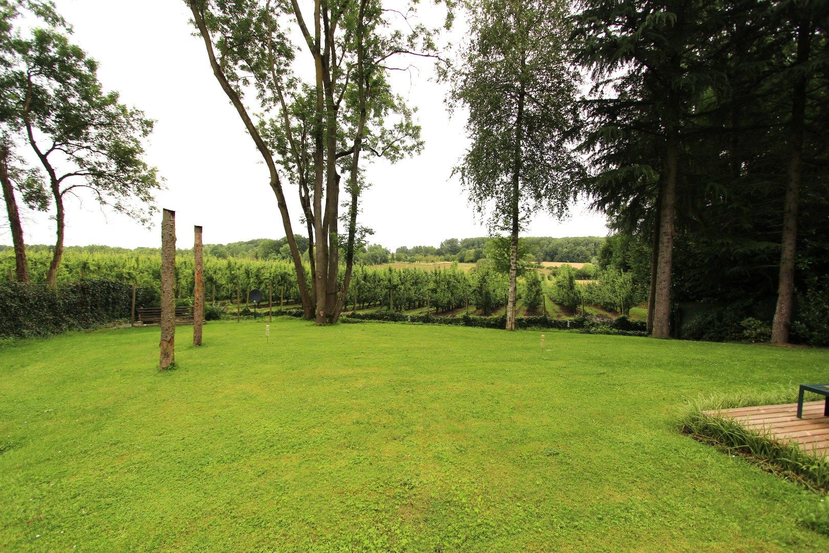 NIEUWBOUW CHALET - PRACHTIG GELEGEN IN DE NATUUR foto 2