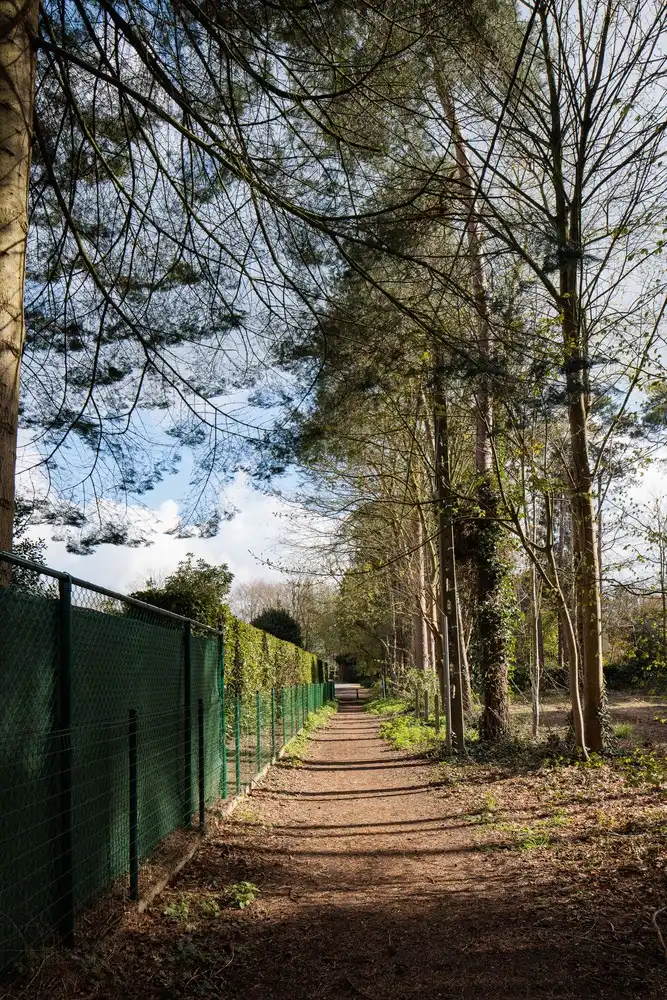 Uitstekend gelegen bouwgrond van ca. 2.993 m2 foto 12