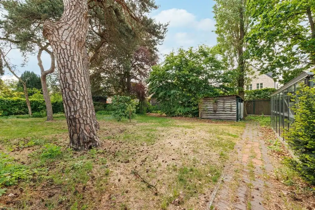 Alles gelijkvloers landhuis foto 13