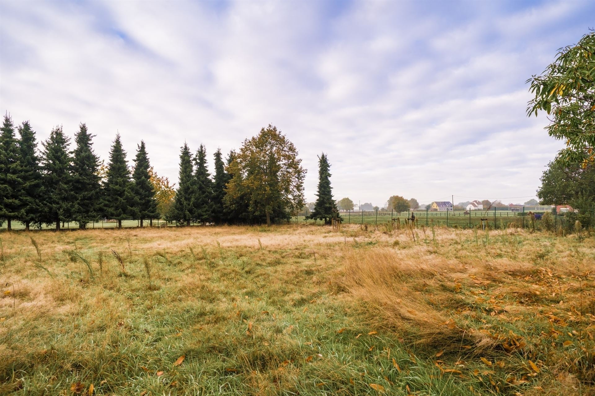 Woning voor heropbouw of af te breken op perceel van 3.391m² foto 9