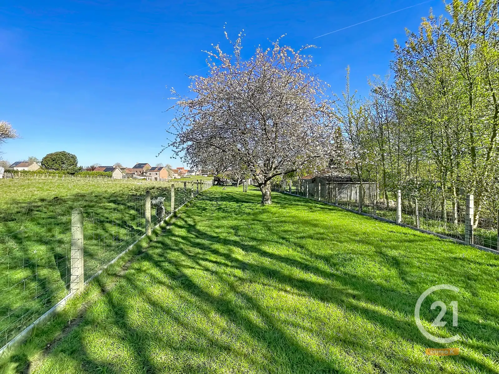 Knusse instapklare woning met ruime tuin en weide nabij E40 foto 24