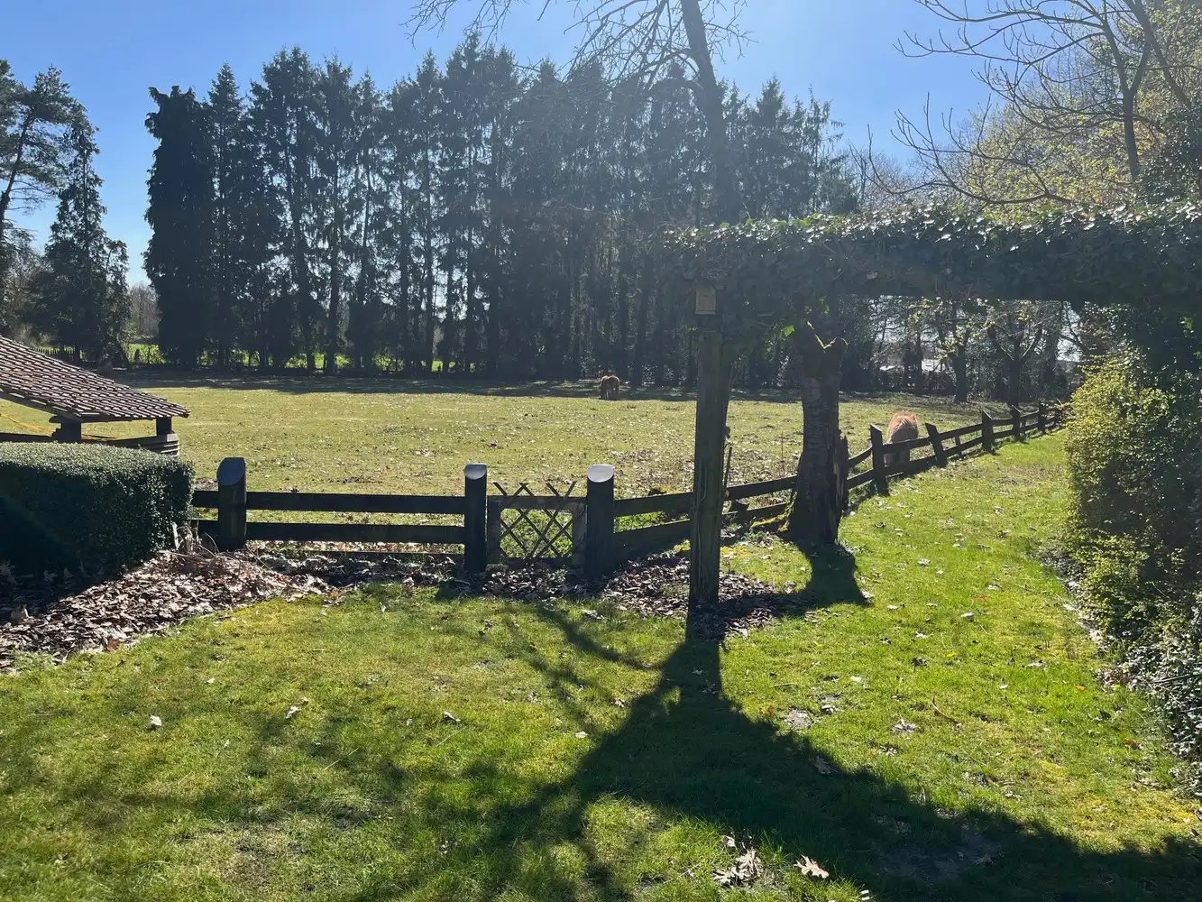 Uniek gelegen vrijstaande gezinswoning met 3 slaapkamers midden in de natuur op een perceel van 54 are in As centrum! foto 48