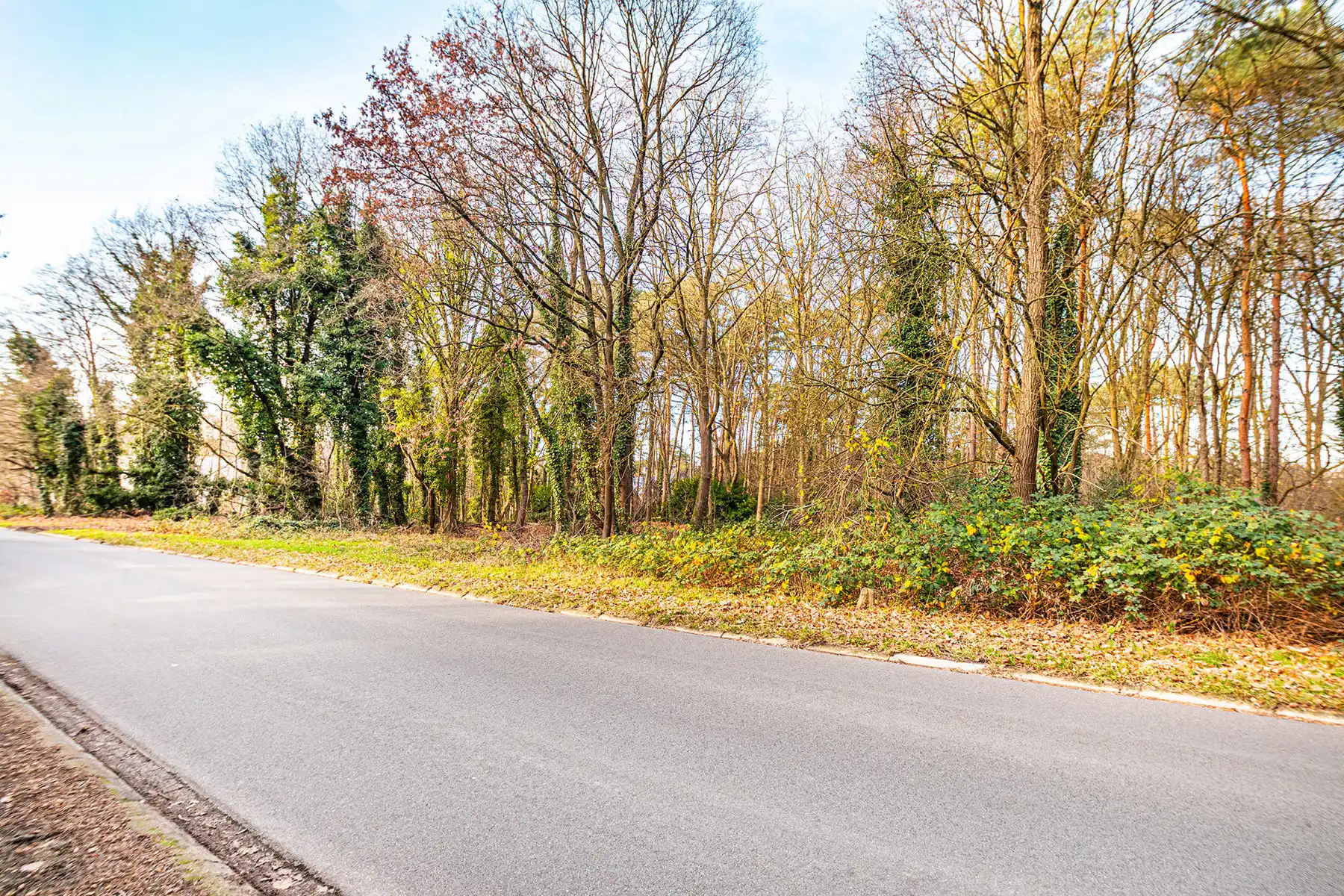 Exclusieve bouwgrond van 4.370 m² in “Golf & Meer”-domein foto 18