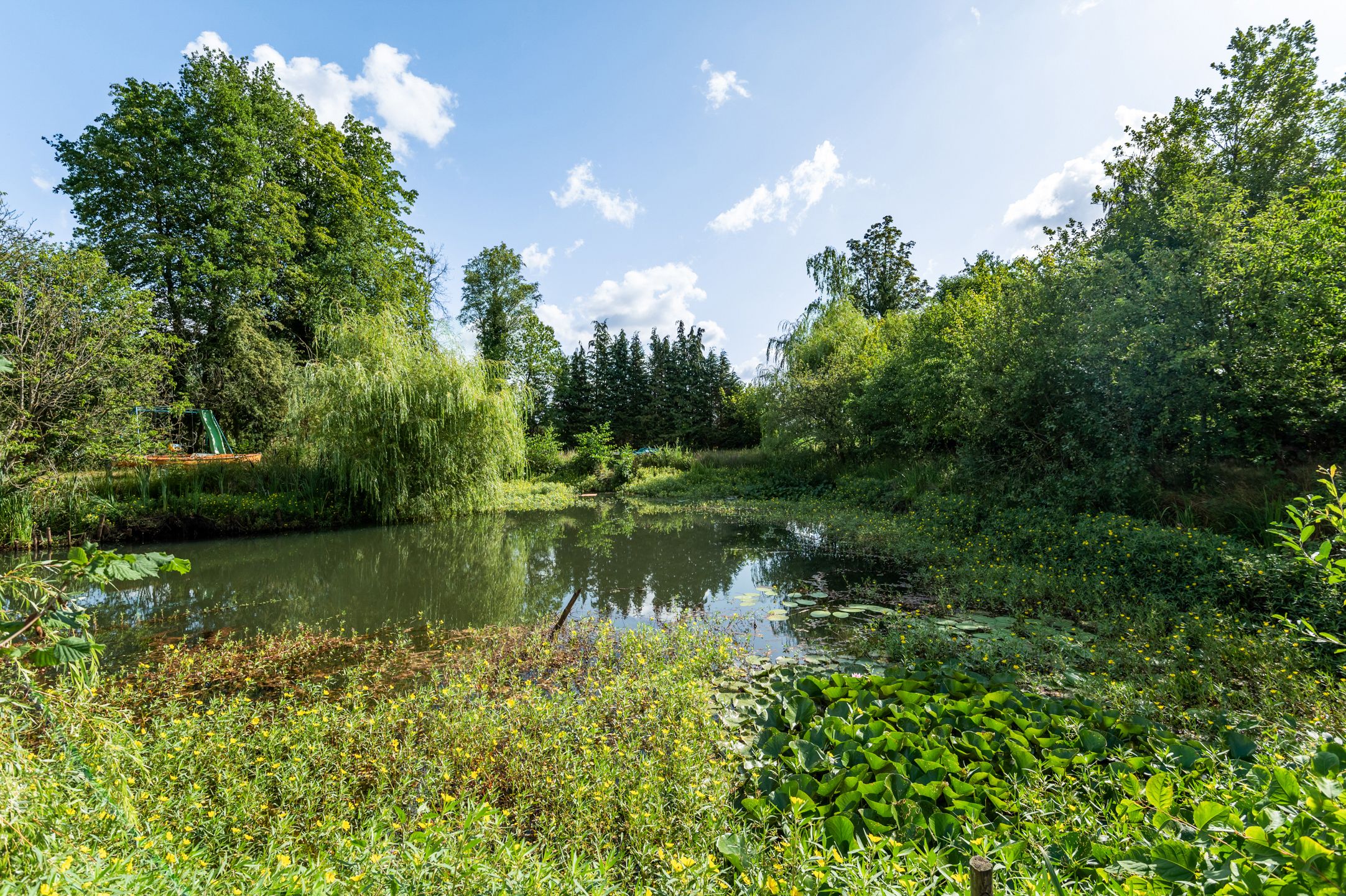 Chalet met 2 slpks op 2.710 m² recreatiegrond in Vorselaar. foto 19