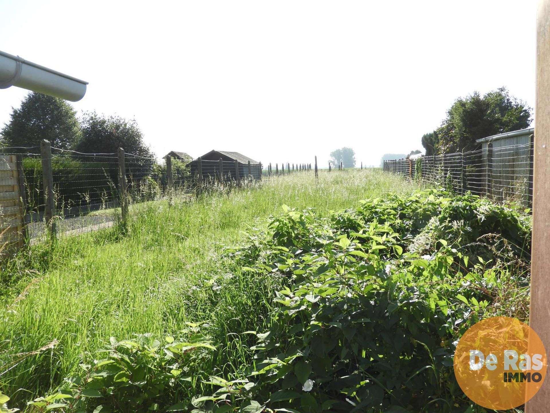 ERONDEGEM – Te renoveren halfopen bebouwing met uitzicht foto 18