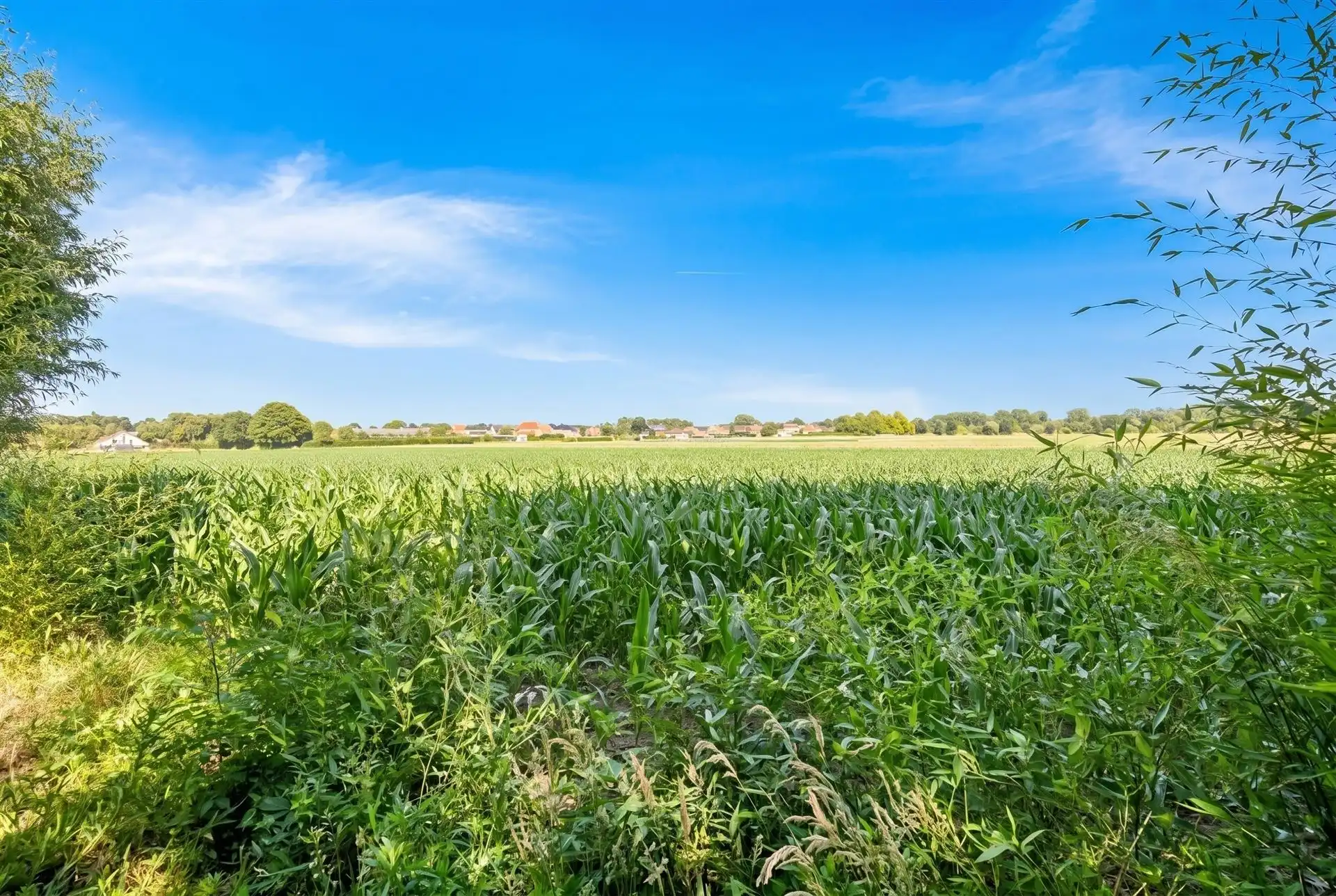 Instapklare villa met zwembad. Landelijke ligging in Leut. foto 51