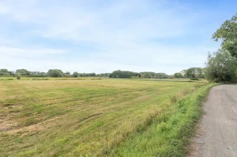 Landbouwgrond 54395 m² - vrij van pacht eind 2027 !!! foto 14