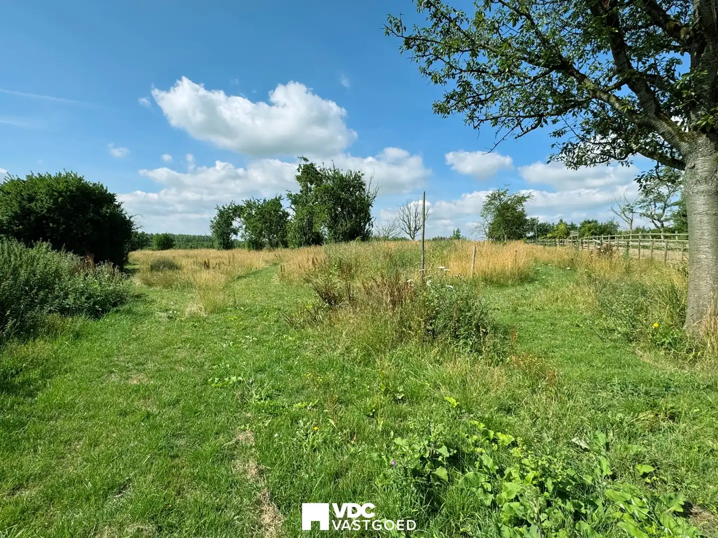 Uitgestrekte paardenweide van 68a 17ca – volledig omheind en klaar voor gebruik foto 3