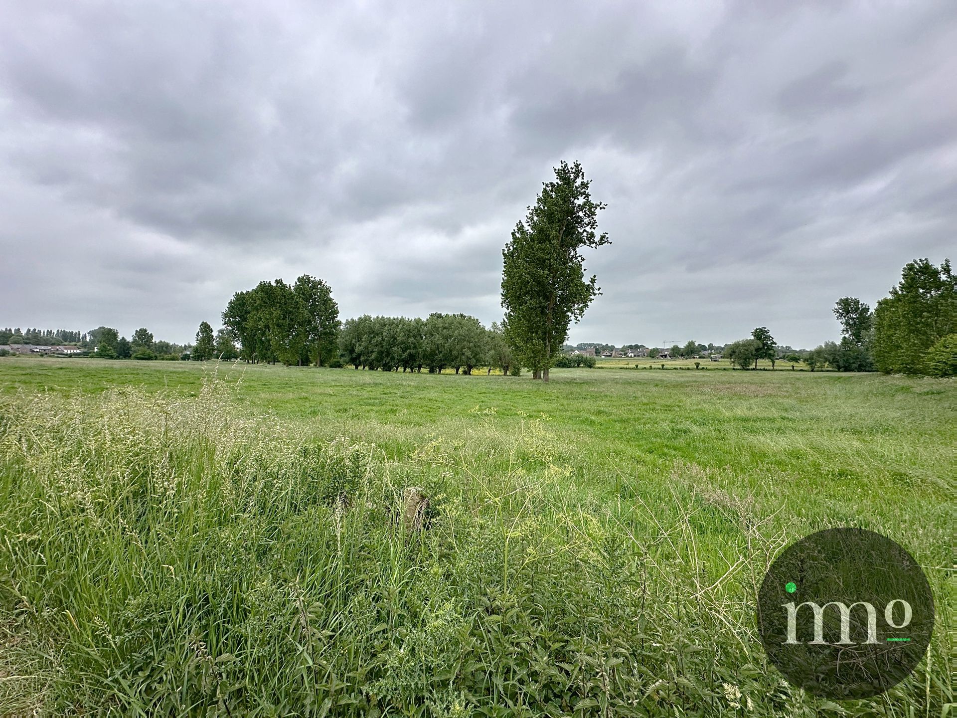 Op zoek naar een idyllische ligging? Gevonden! foto 9