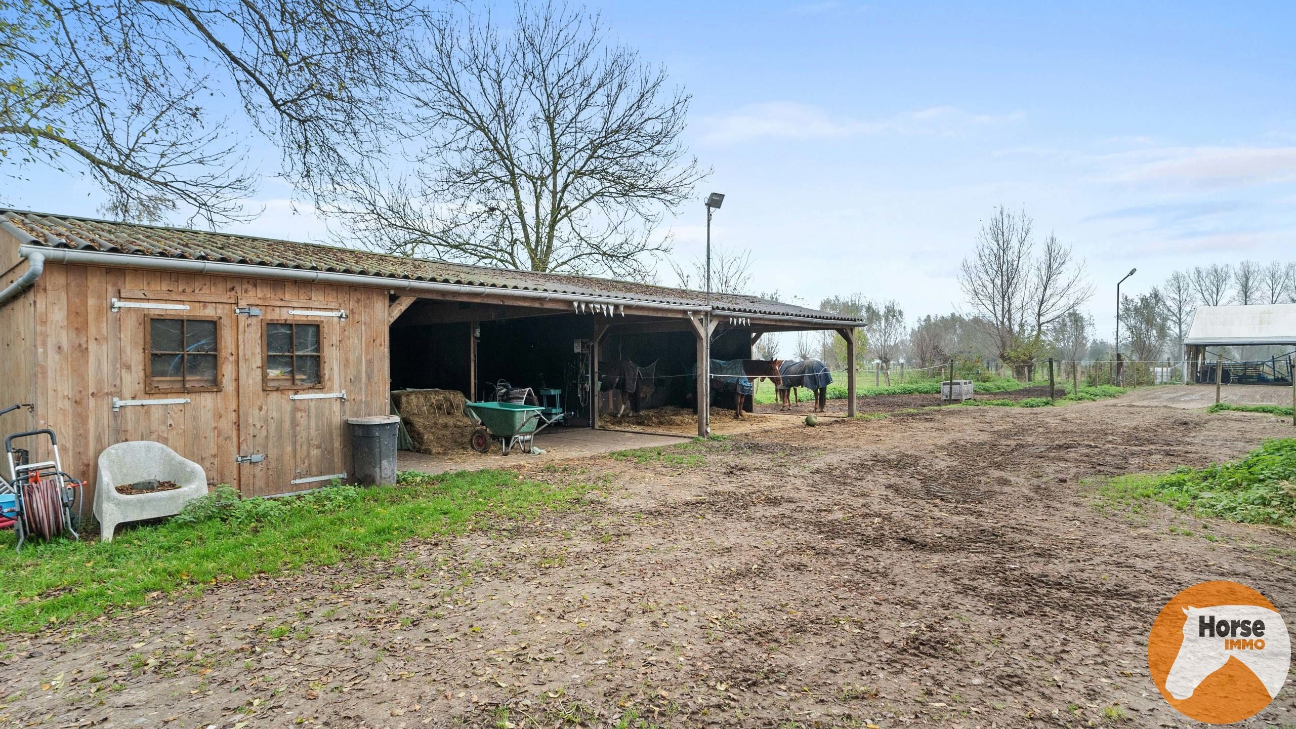 LOKEREN - Energiezuinige woning met paardenfaciliteiten foto 23