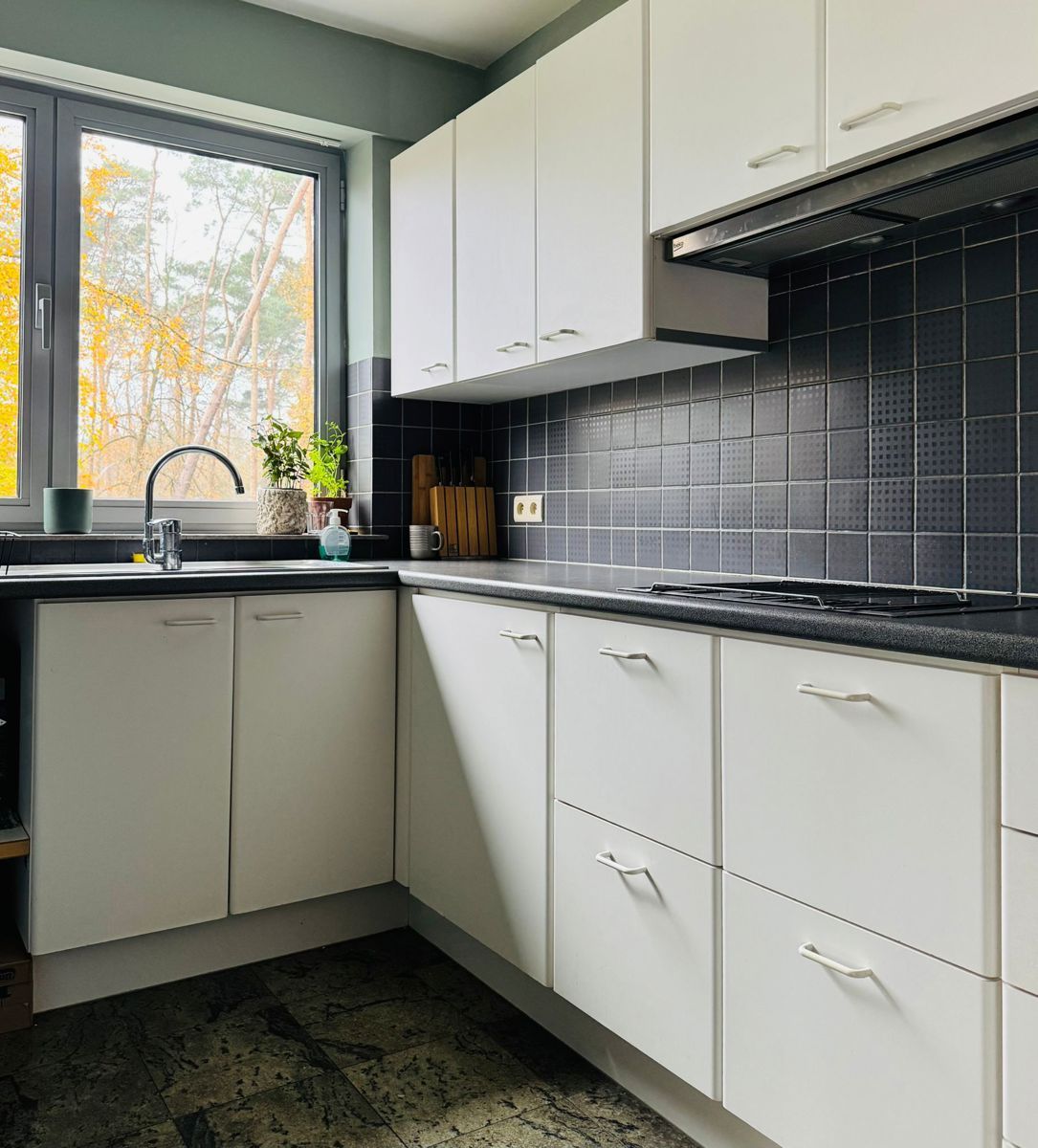 Gelijkvloers 3 slaapkamer appartement met grote garage. foto 5