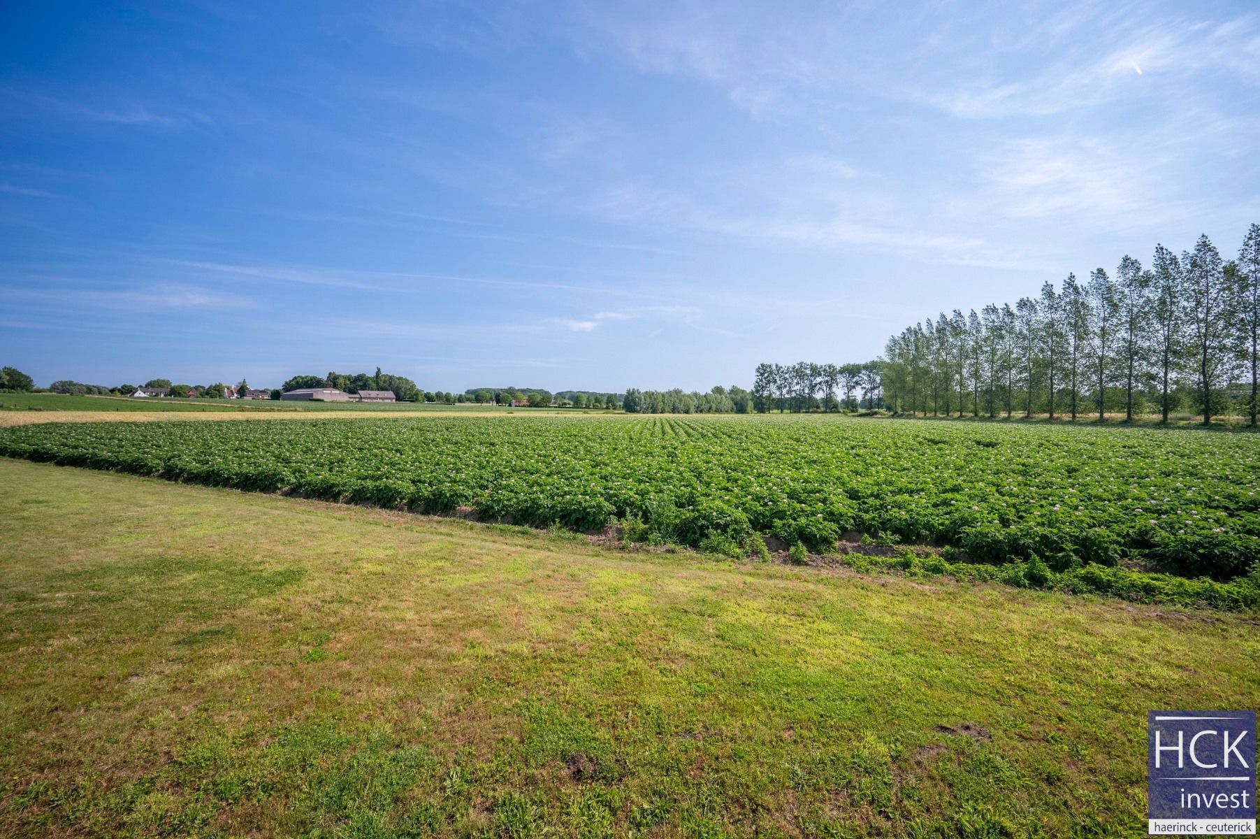 WORTEGEM-PETEGEM (Ooike) - Kraaknette alleenstaande woning op 1126 m² foto 2