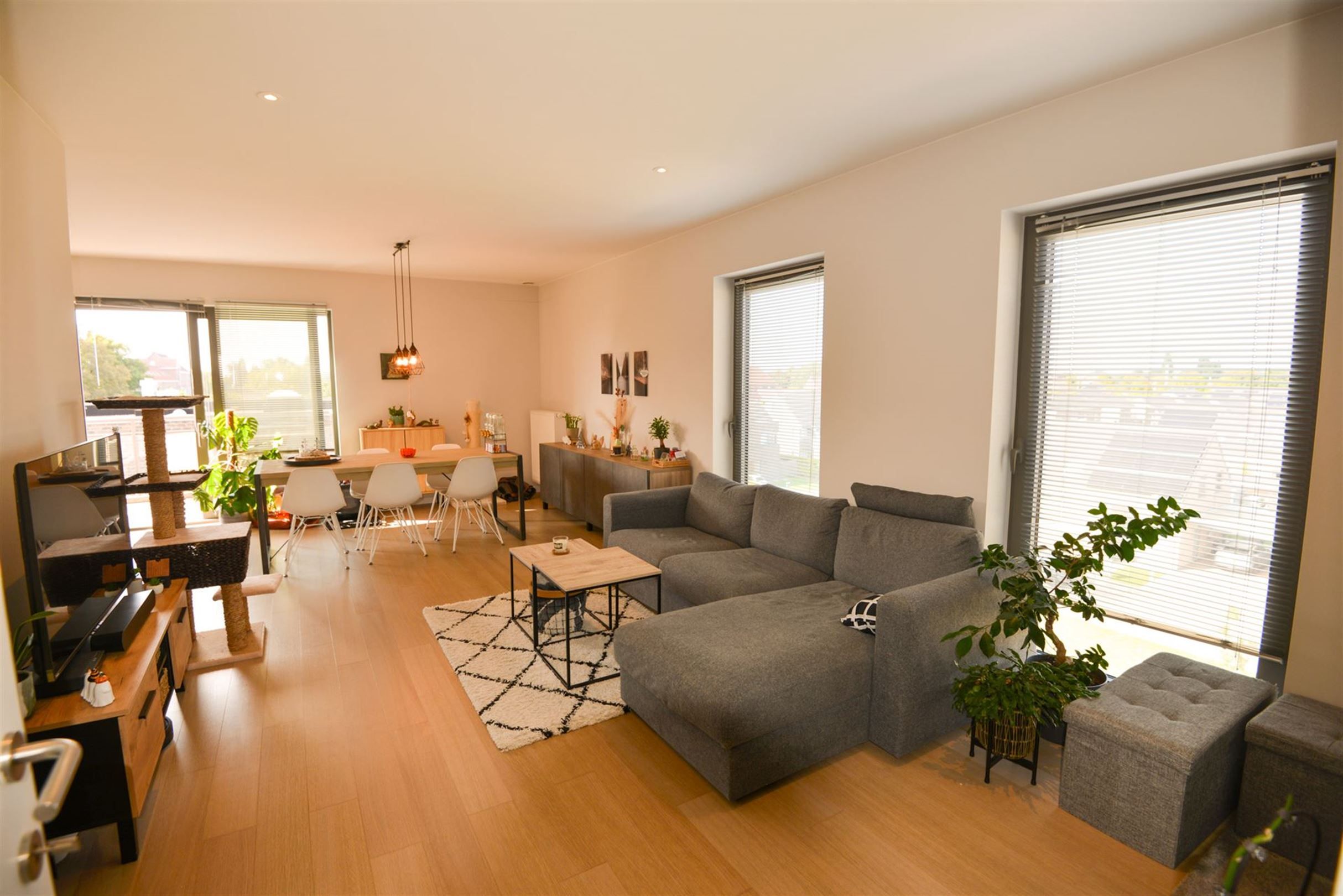 appartement foto {{pictureIndex}}