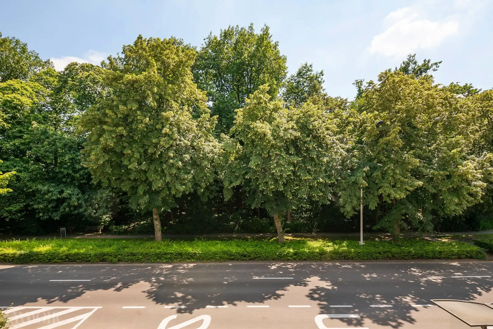 Bouwgrond voor ééngezinswoning te koop in Schoten. foto 5