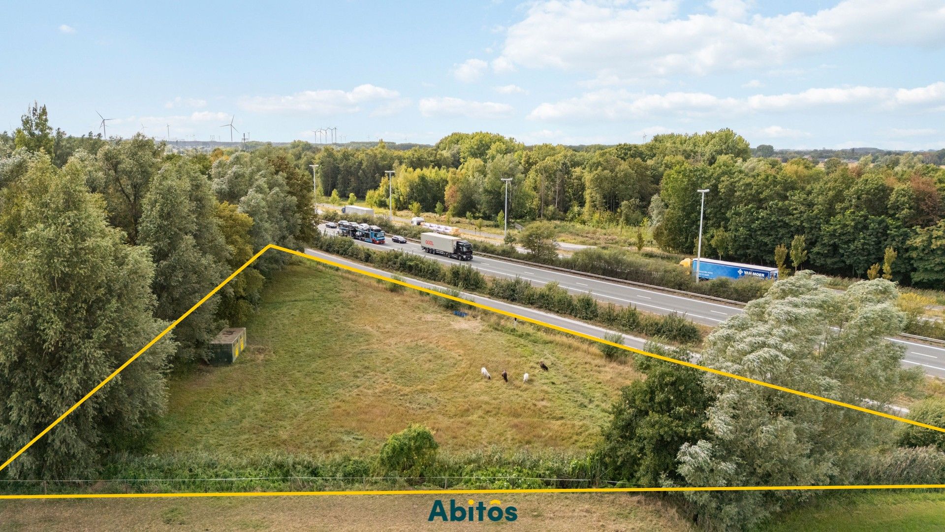 Unieke weide van 3.465 m² – ideaal voor paardenliefhebbers foto 7