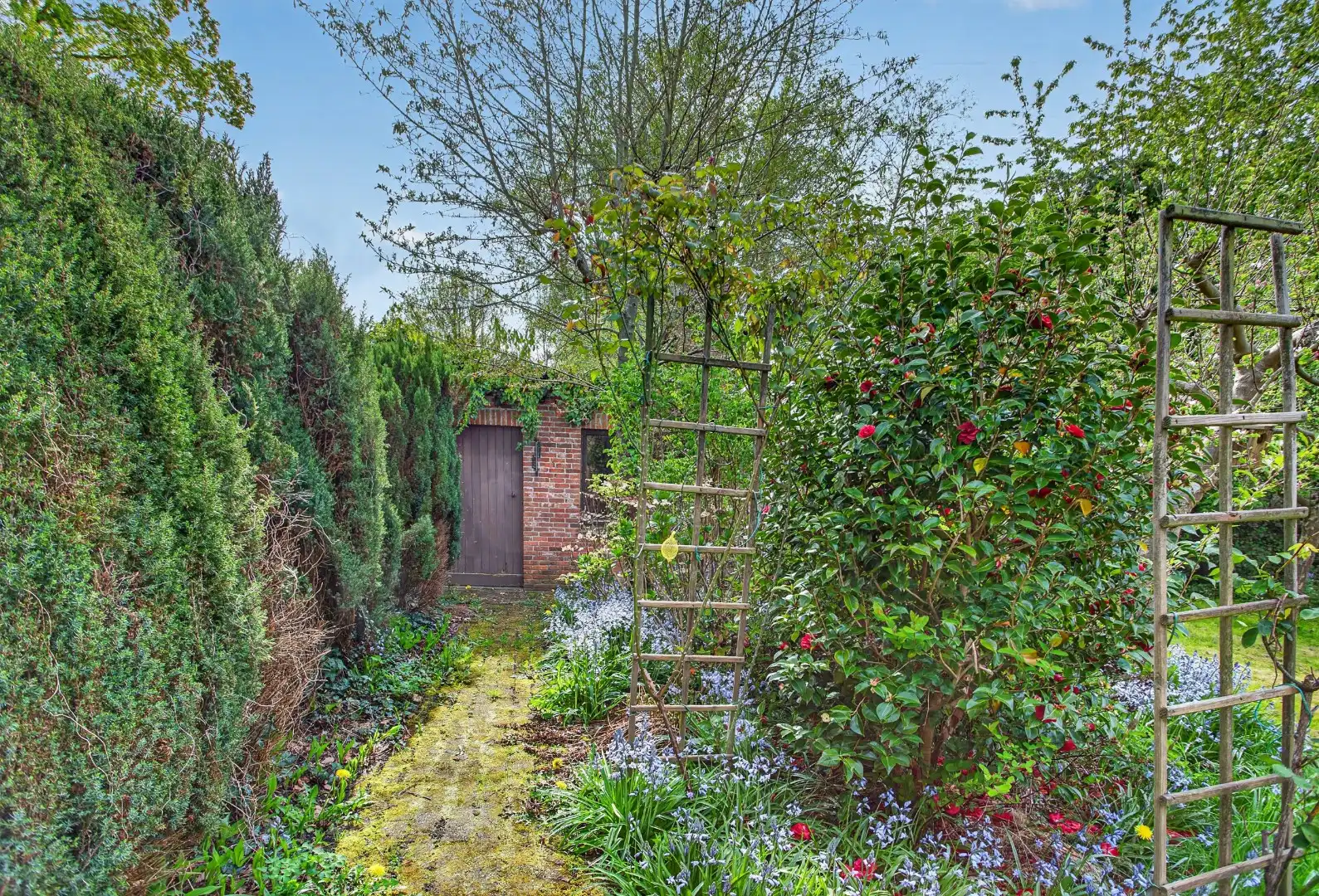 Ruime gelijkvloerse woning met veel potentieel op rustige ligging in Mol foto 46