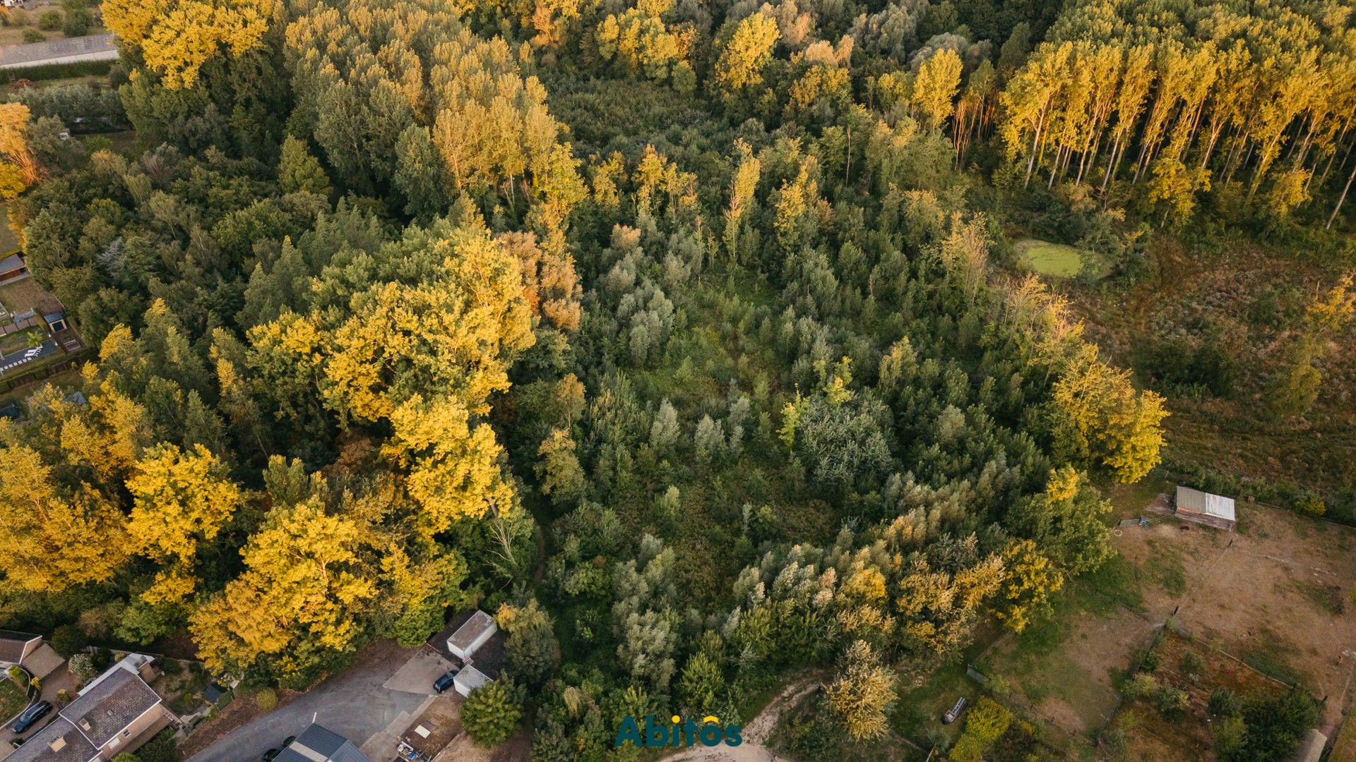 Bosgrond van 11.800 m² foto 3