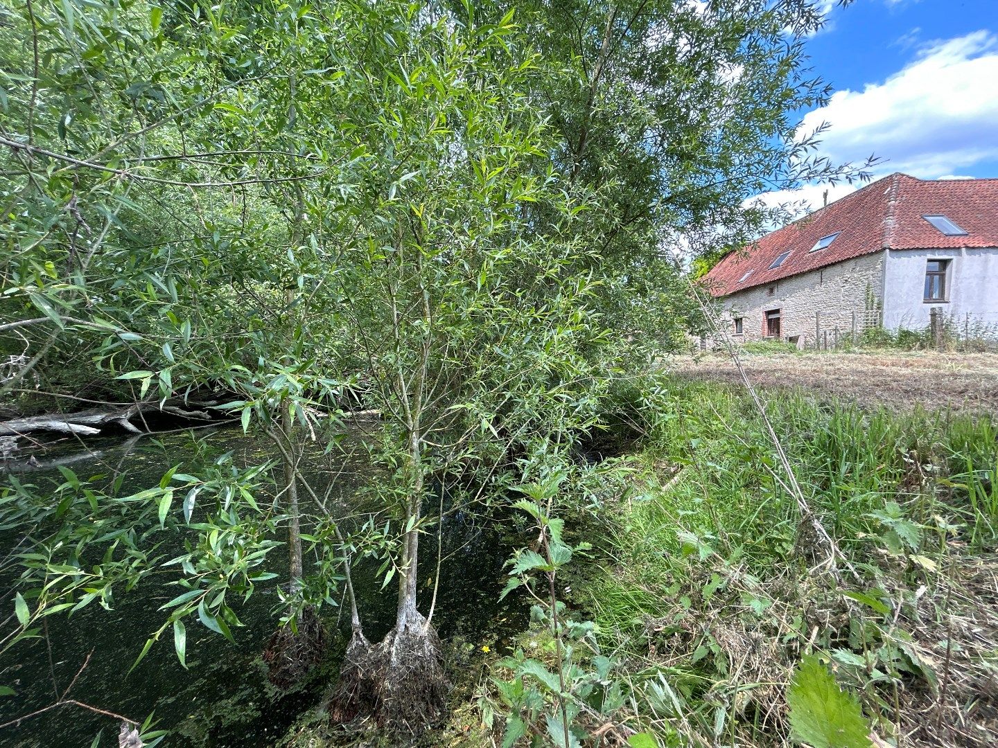 Hof Candriesche – Droomhoeve vol karakter in hartje natuur foto 11