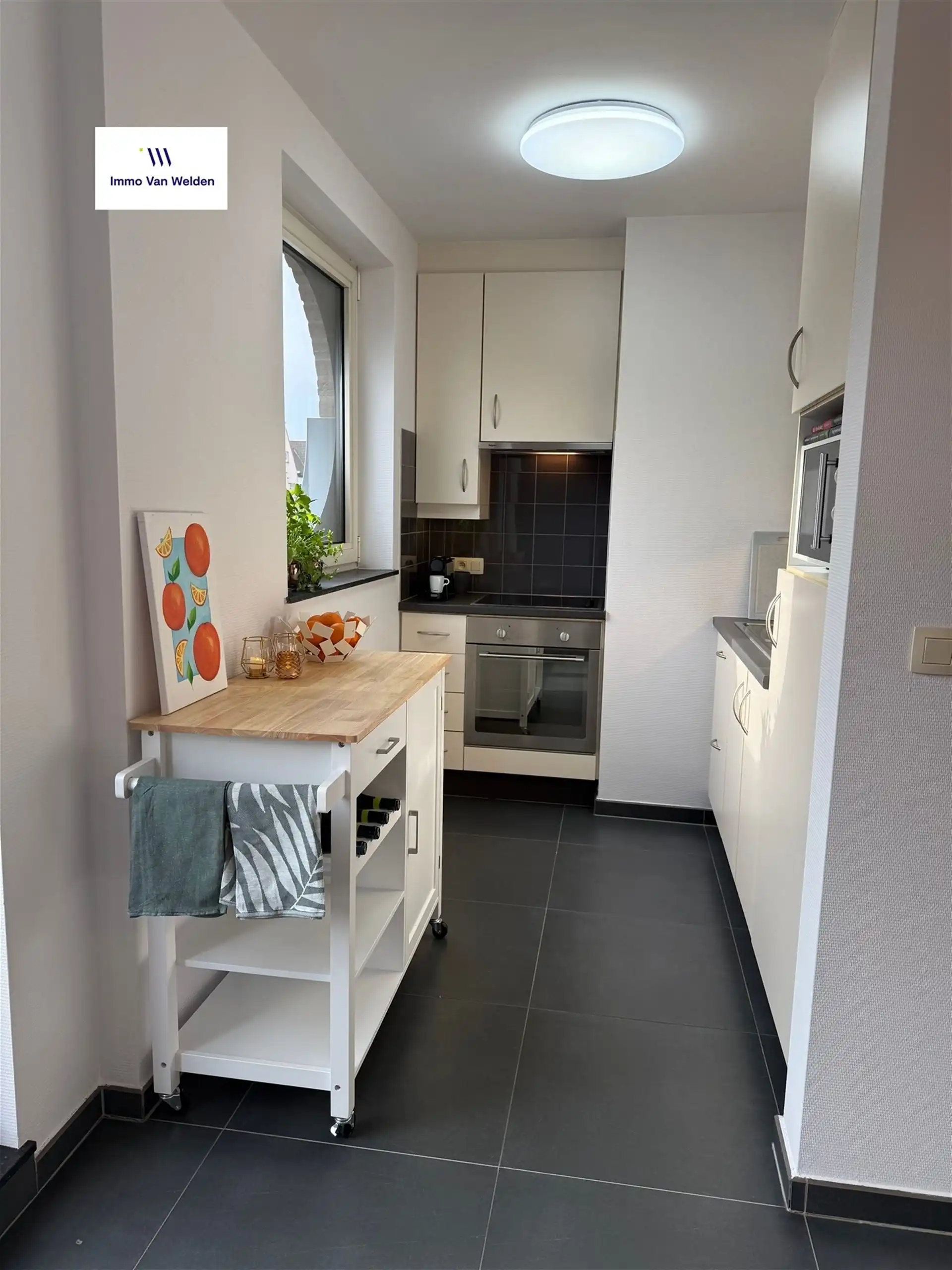 Stijlvol appartement met 2 slaapkamers, terras en garage foto 7