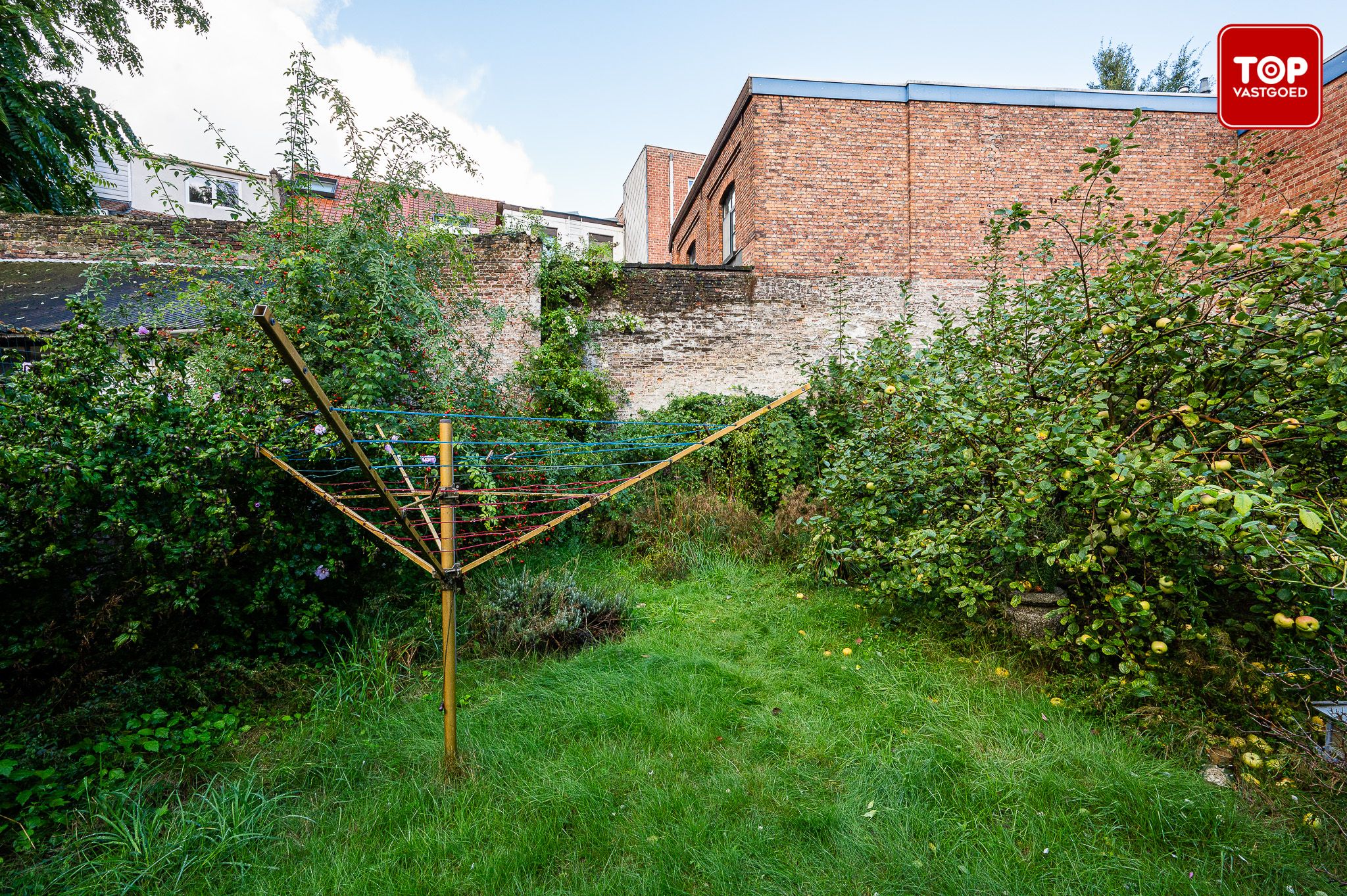 ruime, te renoveren burgerwoning met mooie tuin, in centrum Gent foto 3