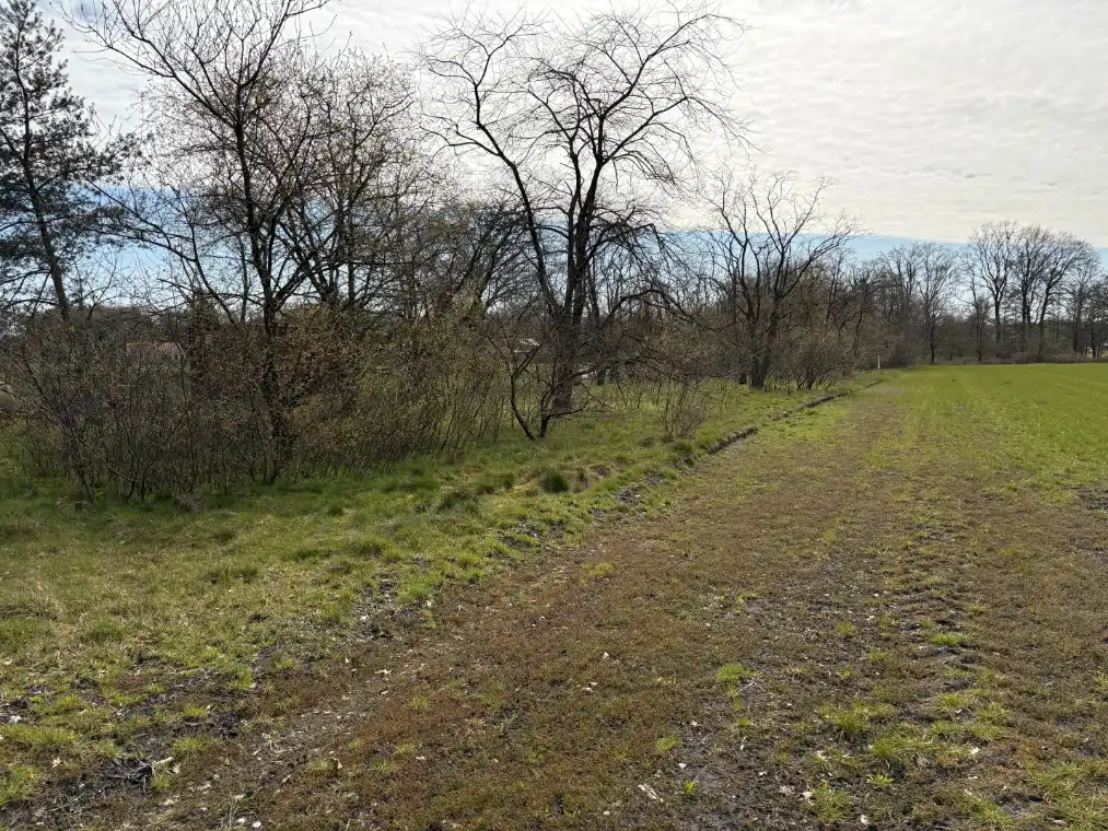 Landbouwgrond 37are 14ca op Gelderhorsten foto 3