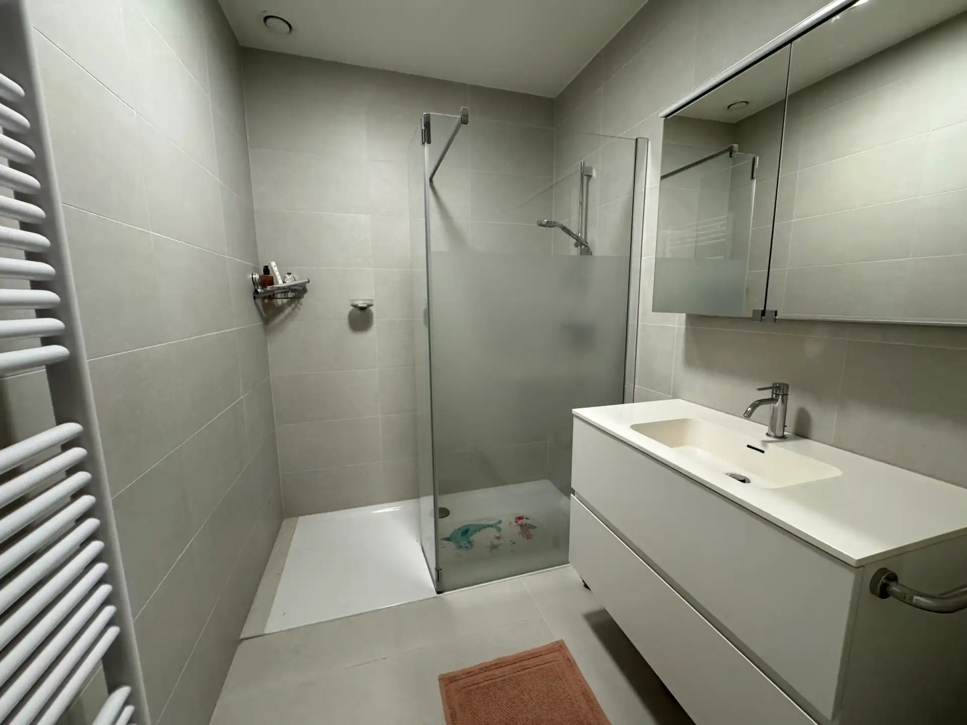 Te Huur 2-slpk appartement nabij centrum Bornem. foto 3