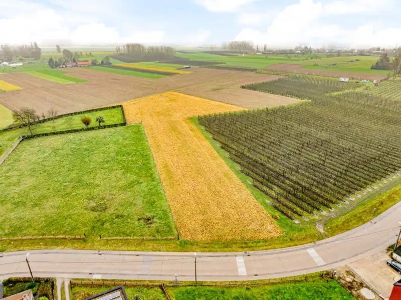 Landbouwgrond van 66are 76ca in Hoeleden foto 2