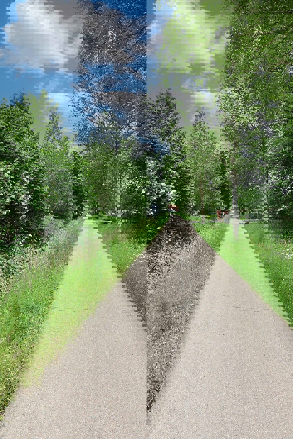 Grond te koop foto 7
