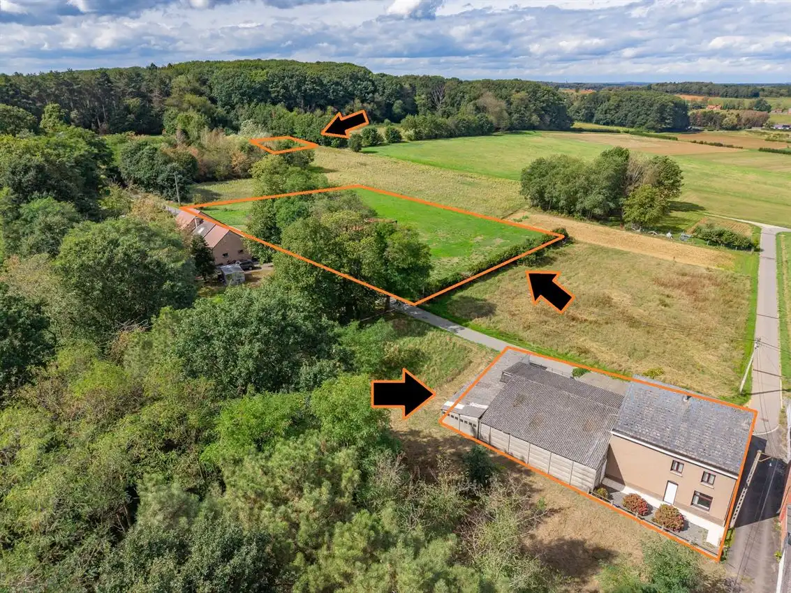 Hoofdfoto van de publicatie: Te renoveren boerderij met 2 weides (45a en 21a) en ruime hangaar