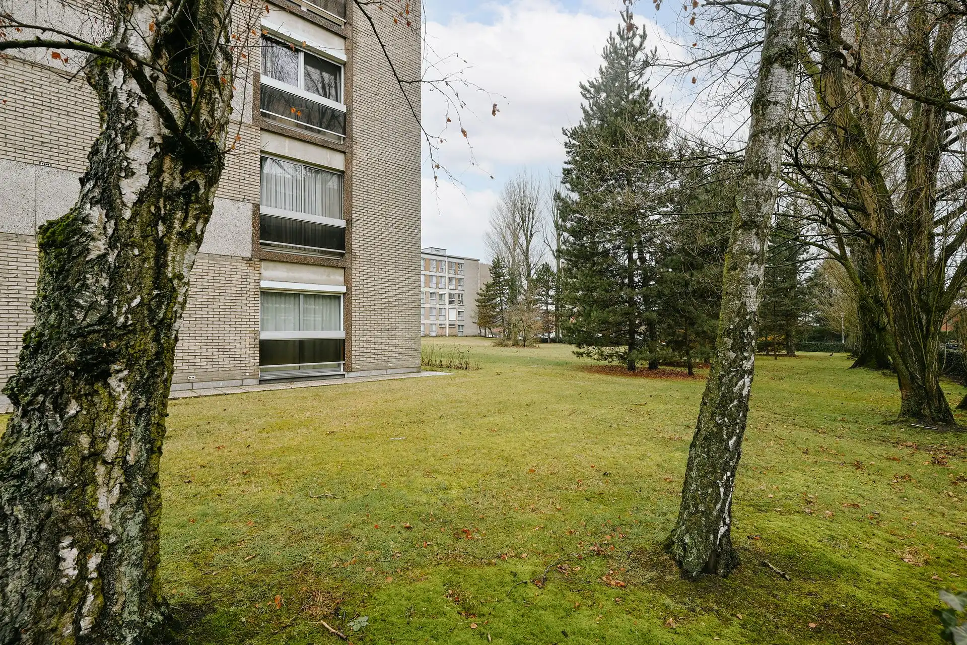 3-slaapkamerappartement in rustige wijk foto 15