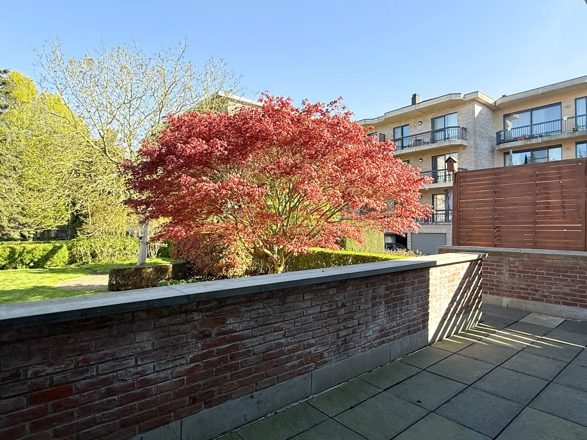 Gunstig gelegen appartement dichtbij het centrum van Beveren foto 16