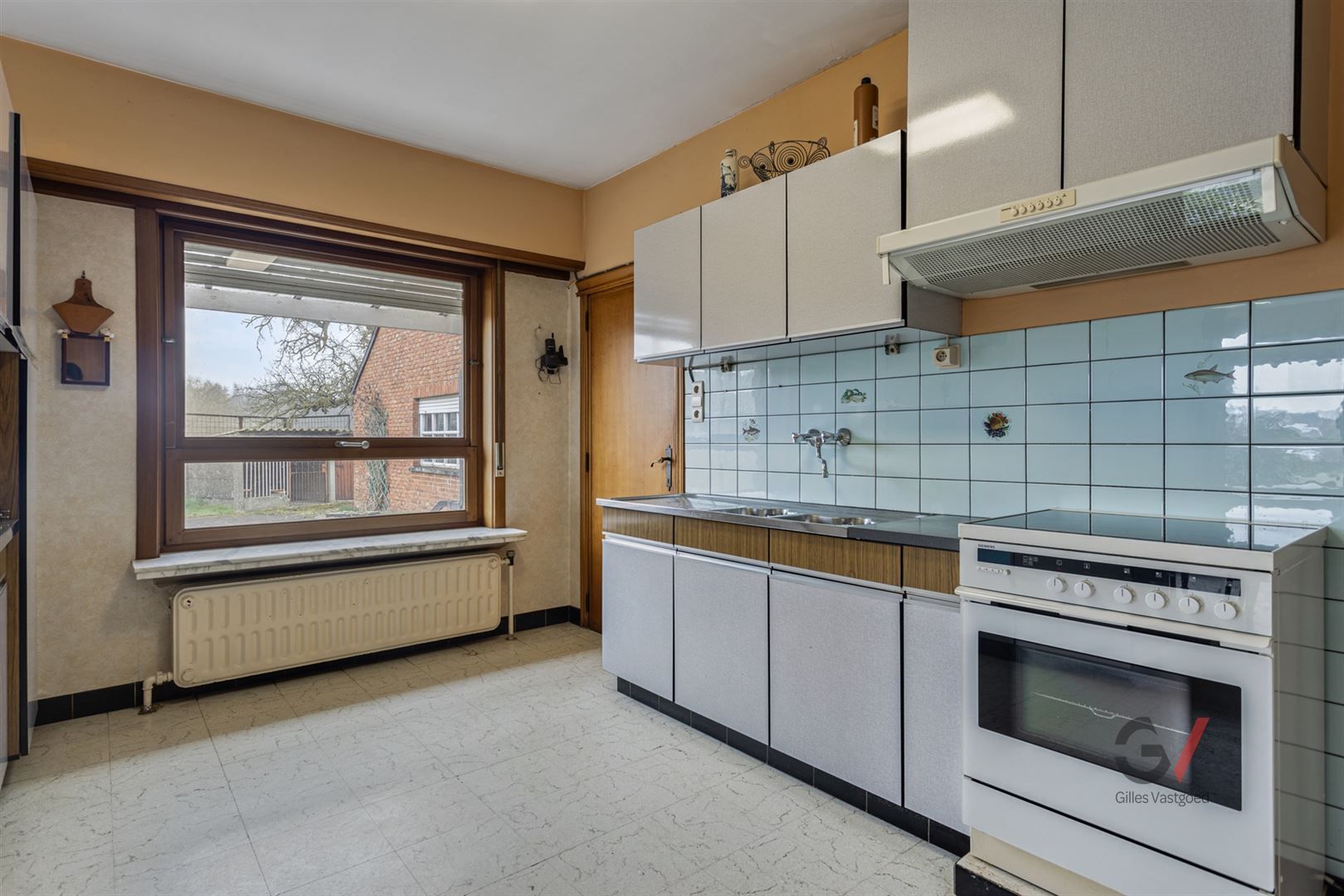 Huis met weiland te koop foto 5