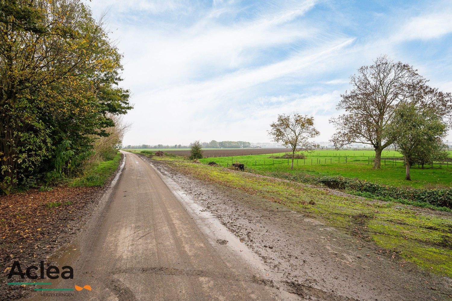 Renovatieproject op een rustige locatie in de Watervlietse polders foto 2