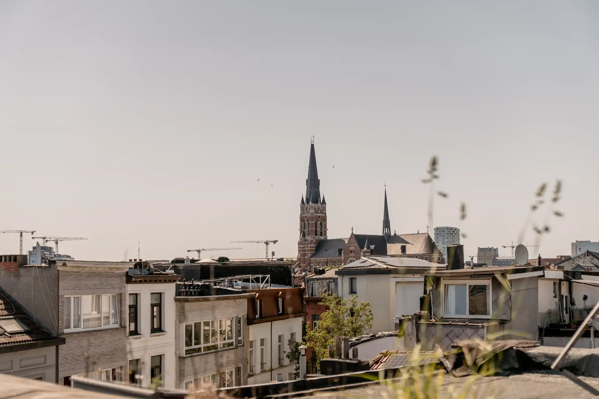 Egge, Egge, Egge. Tegen deze woning kan je geen ‘nee’ zegge’. foto 13