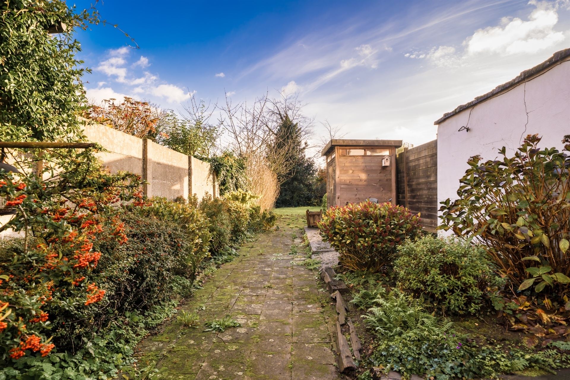 Te renoveren woning met 4 slpks en tuin. foto 20