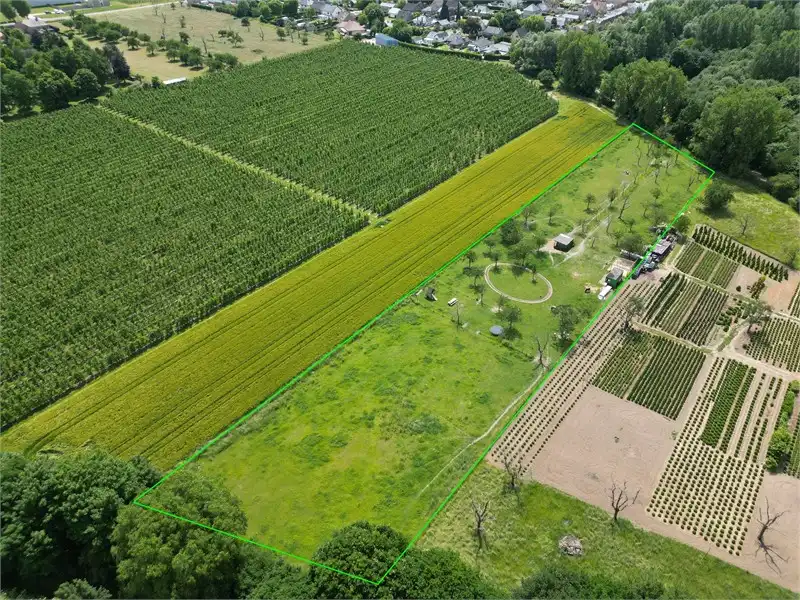 WEIDE VAN 1H5A68CA IN ORDINGEN foto {{pictureIndex}}