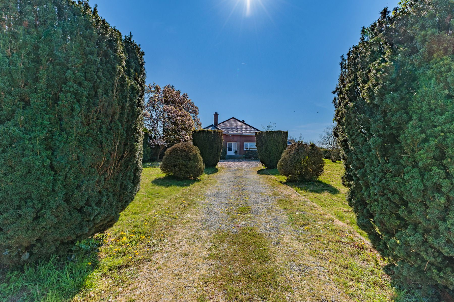 Ruime villa met 5 slaapkamers en zwembad foto 4