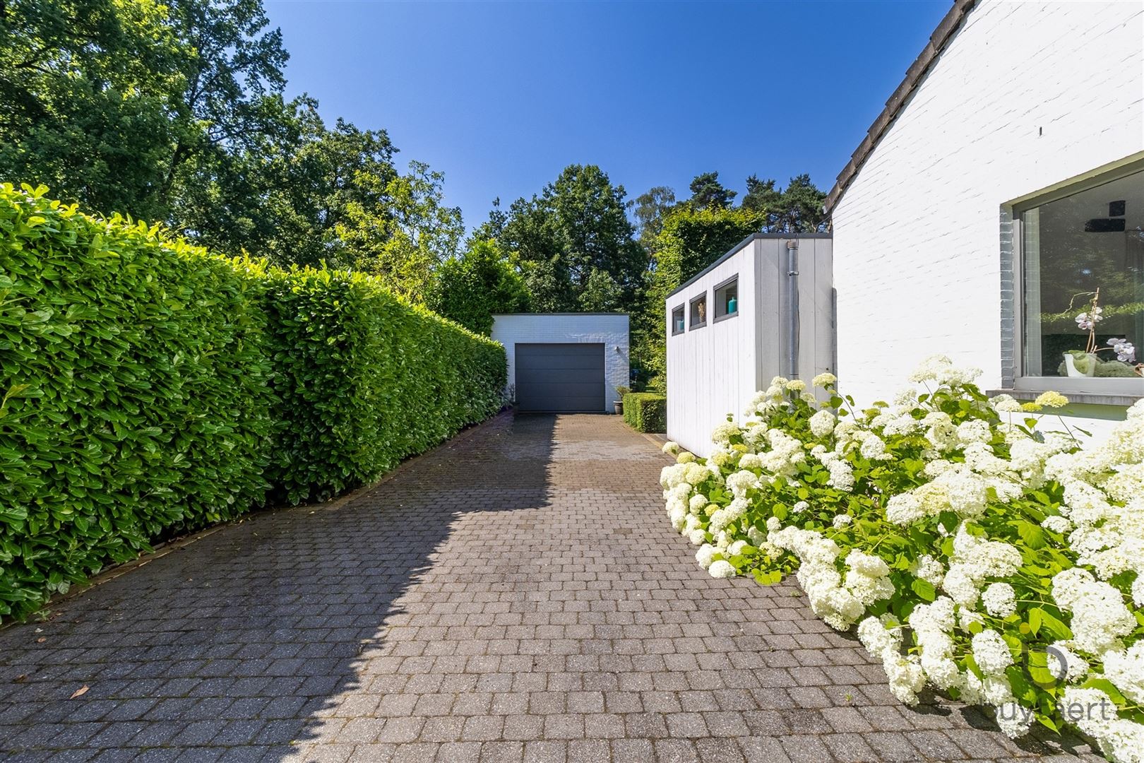 Een gezellige thuis met zwembad en zuidwest tuin! foto 4
