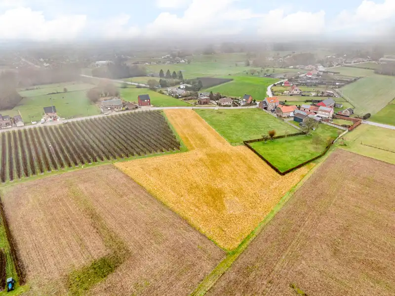 Landbouwgrond van 66are 76ca in Hoeleden foto {{pictureIndex}}