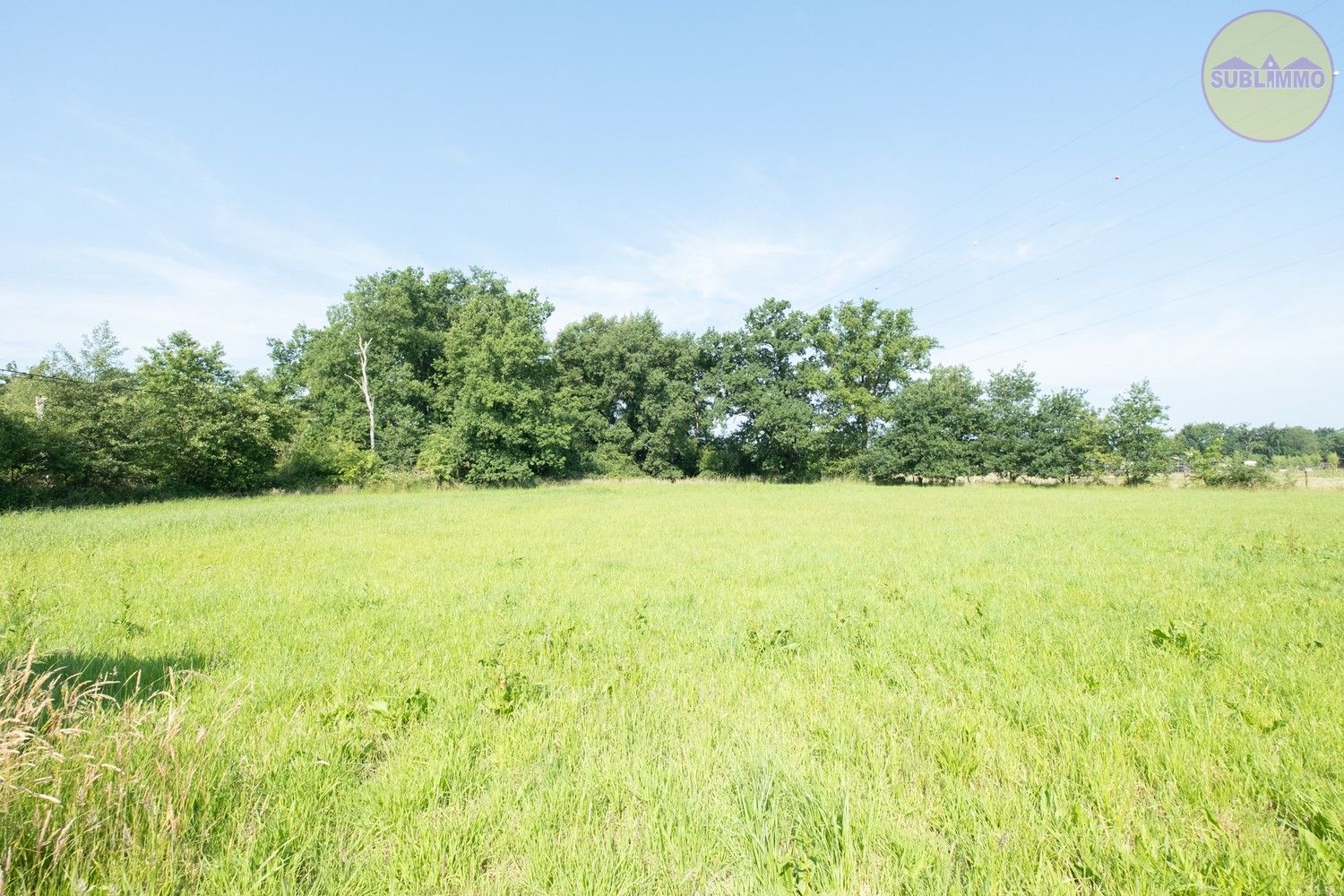 Te renoveren langgevelhoeve op unieke locatie in Balen – 18.729 m² grondoppervlakte foto 17