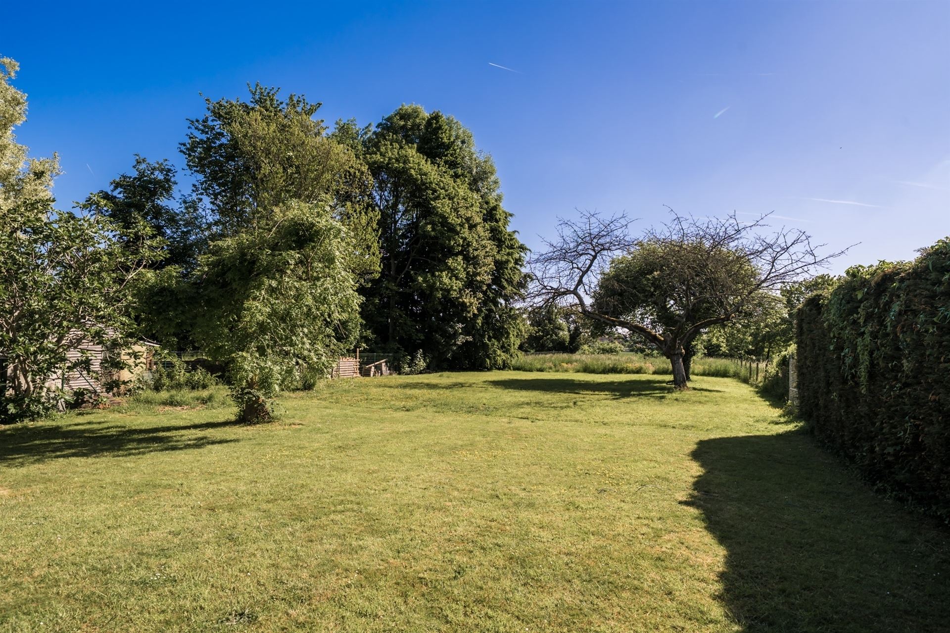 PRACHTIGE VILLA OP EEN TERREIN VAN 27A foto 30