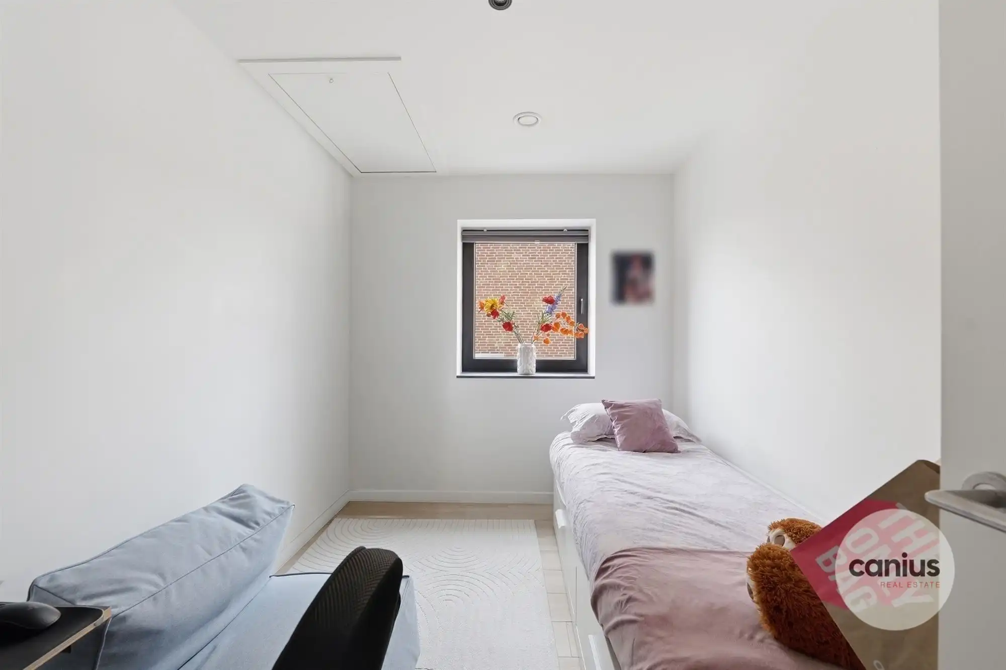 ENERGIEZUINIGE OPEN BEBOUWING MET 3 SLKS foto 10