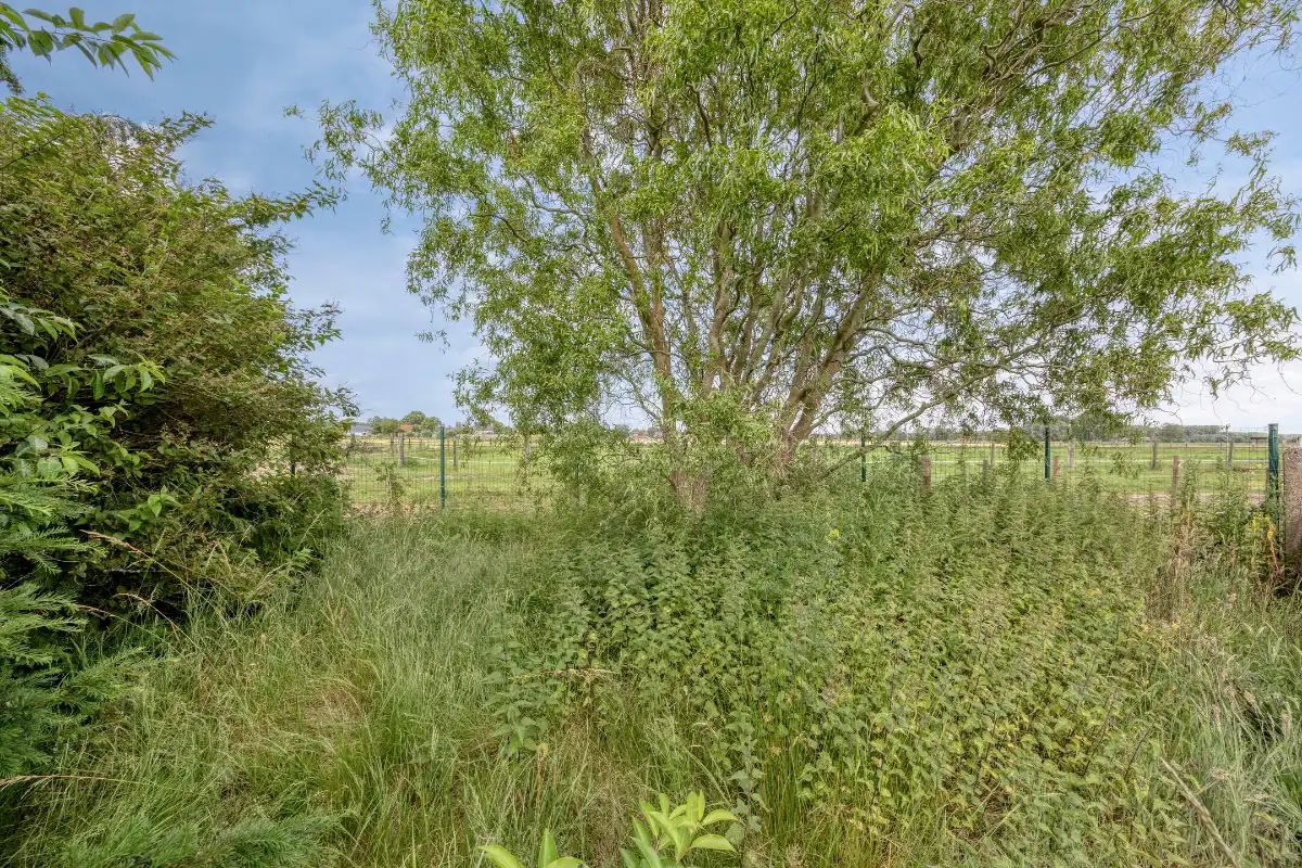 Open bebouwing met ruime tuin en uitzicht op groen foto 24