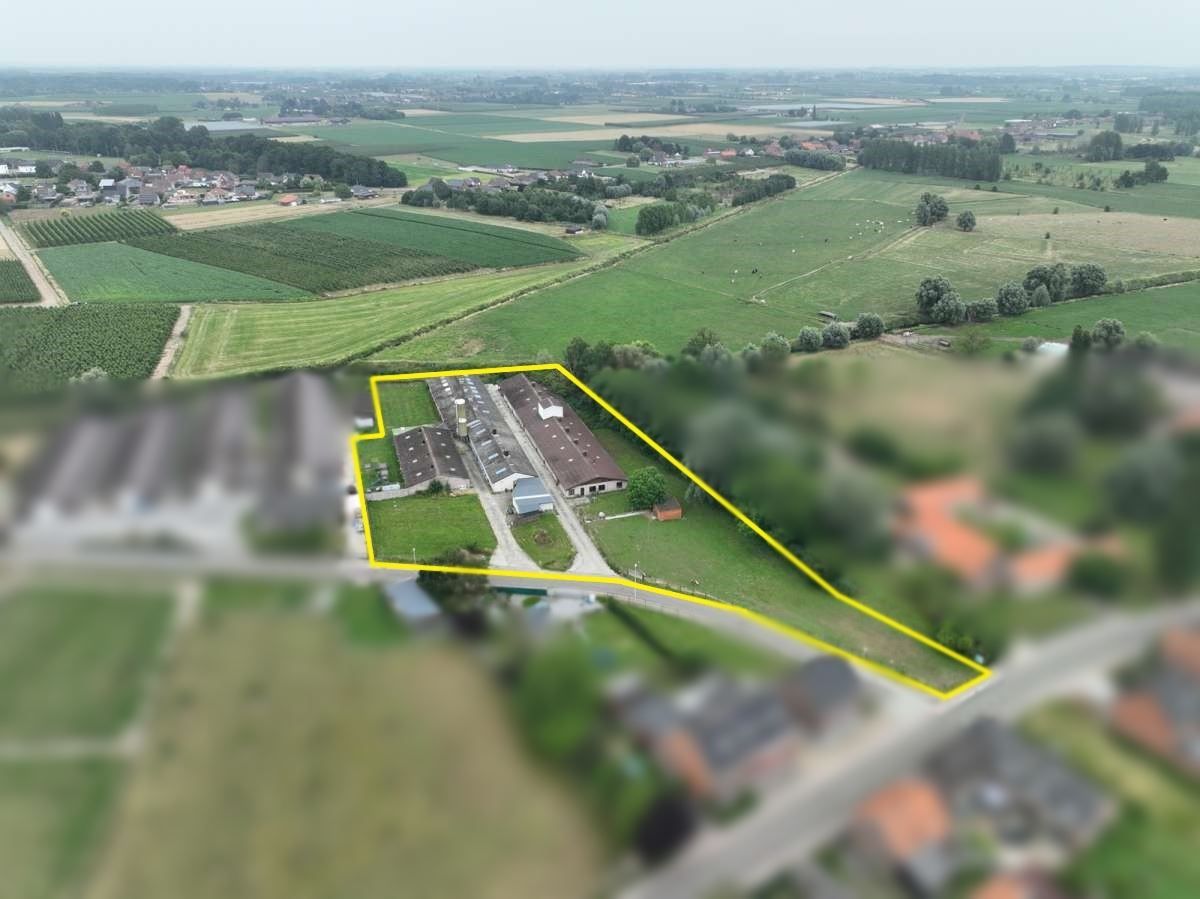 Hoofdfoto van de publicatie: Kalverstallen te Halen op 85 are