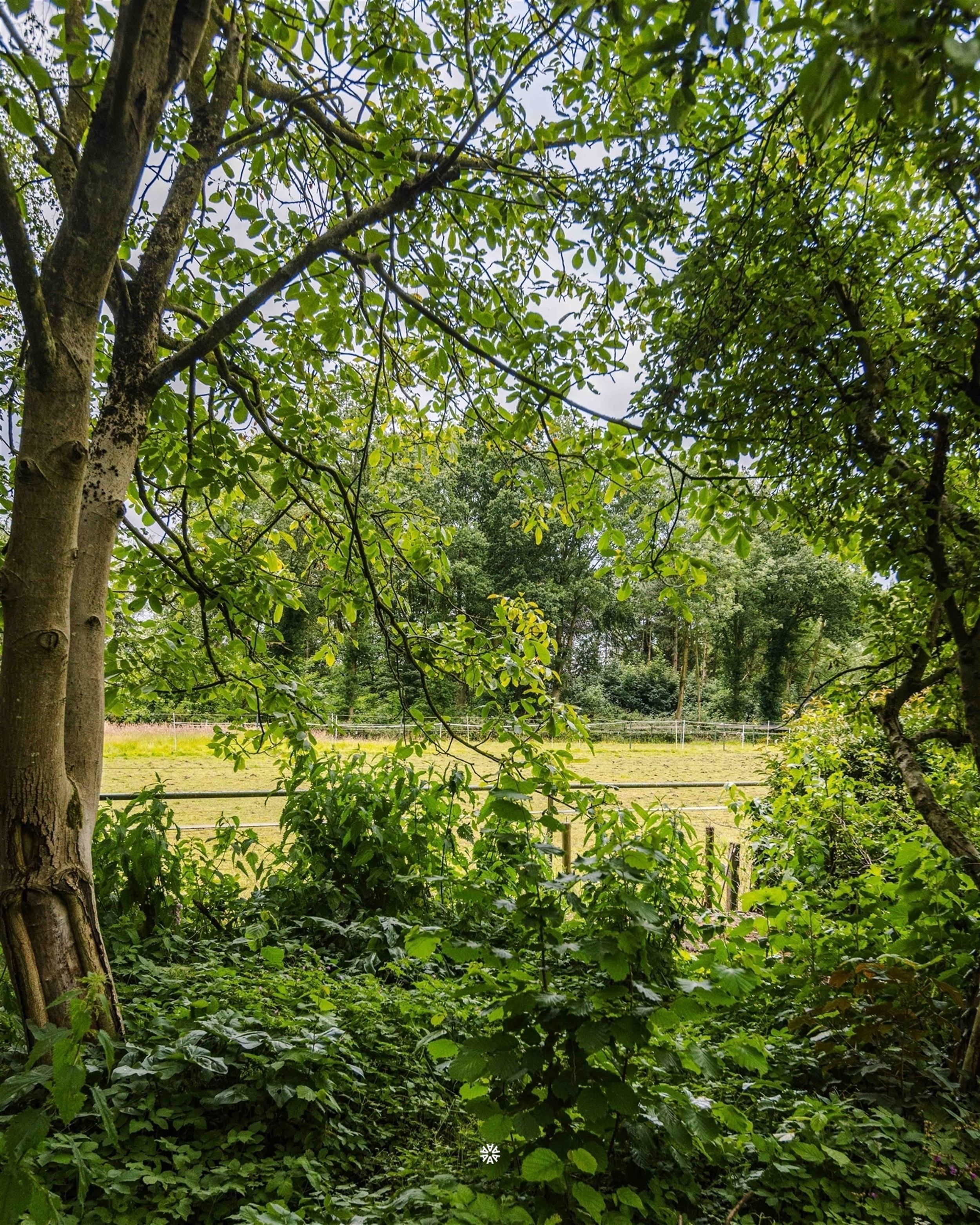 Riante en unieke woning met landelijk uitzicht te Belsele foto 22