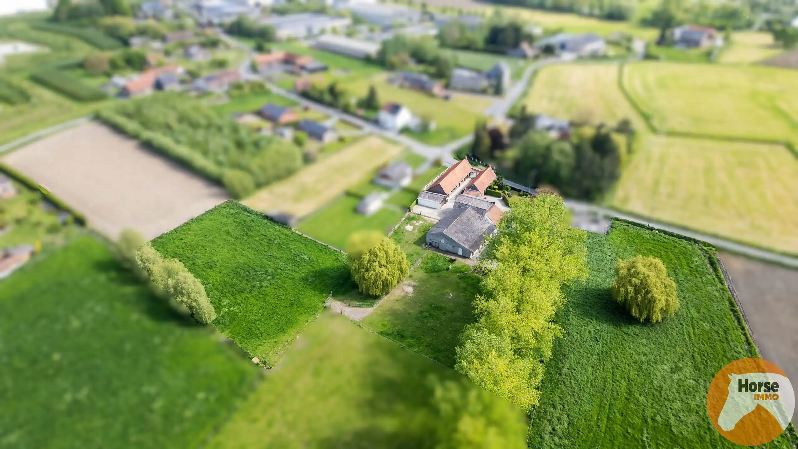 RONSE - Charmante hoeve op 1,16 ha met bijgebouw foto 3